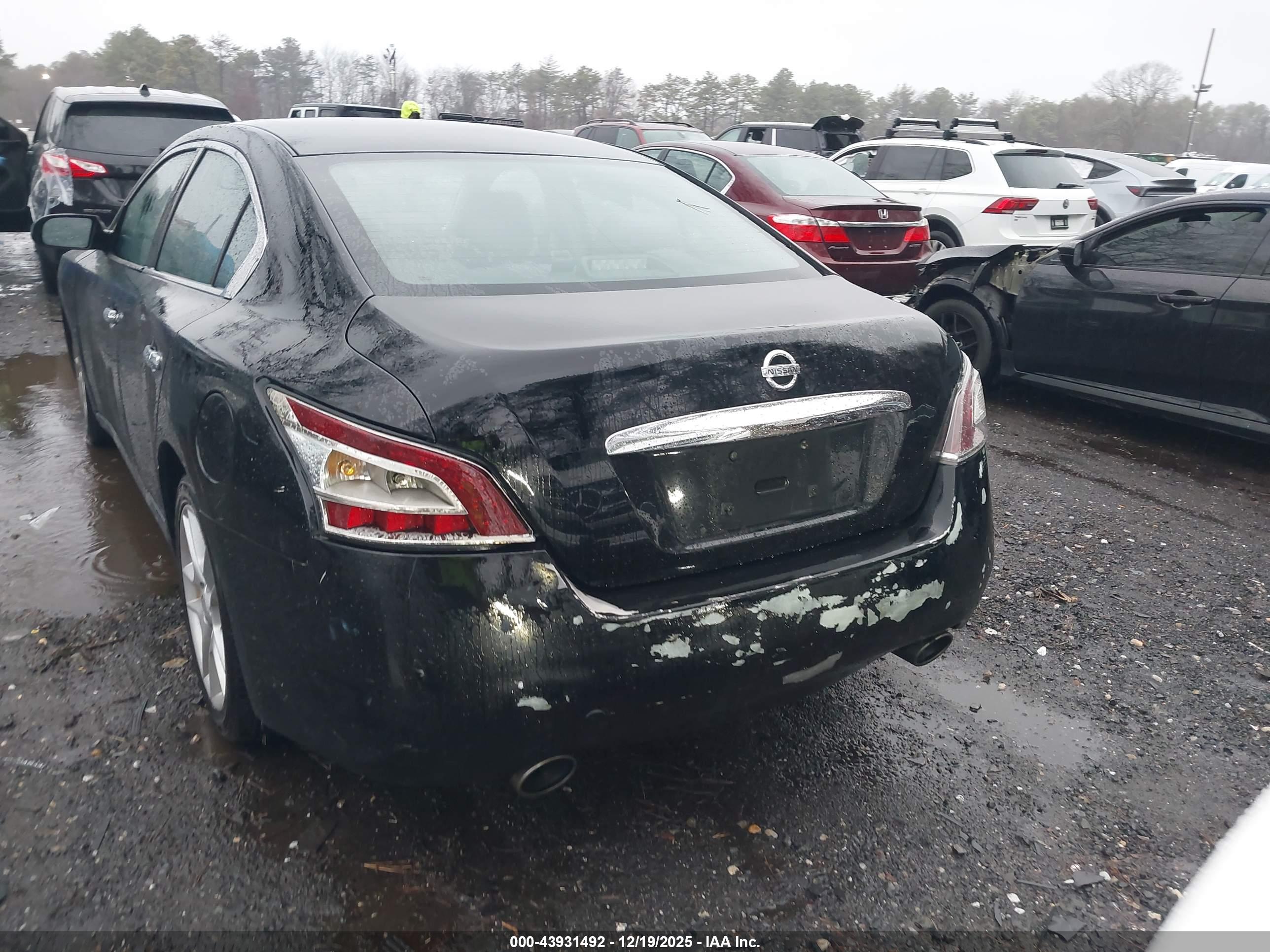 NISSAN MAXIMA image 6
