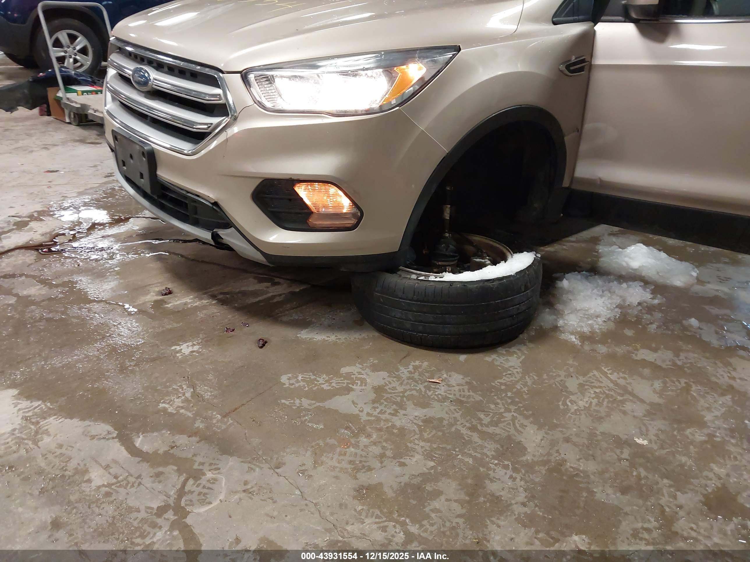 FORD ESCAPE image 6