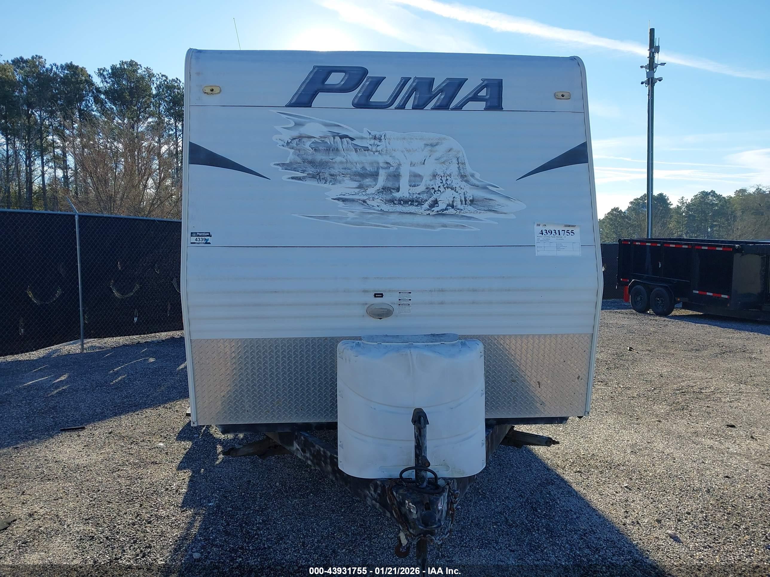 PALOMINO PUMA image 6