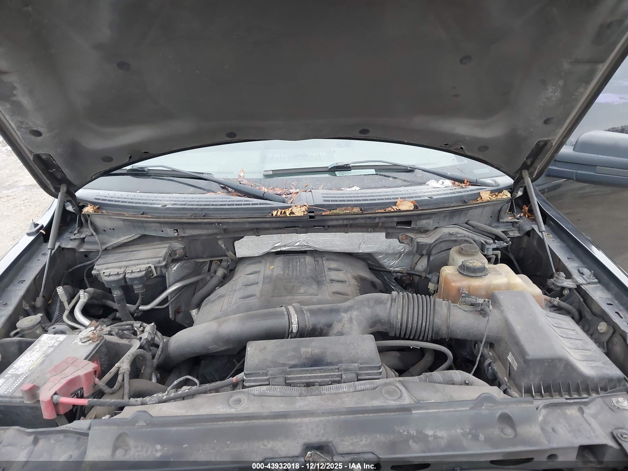 FORD F-150 image 10