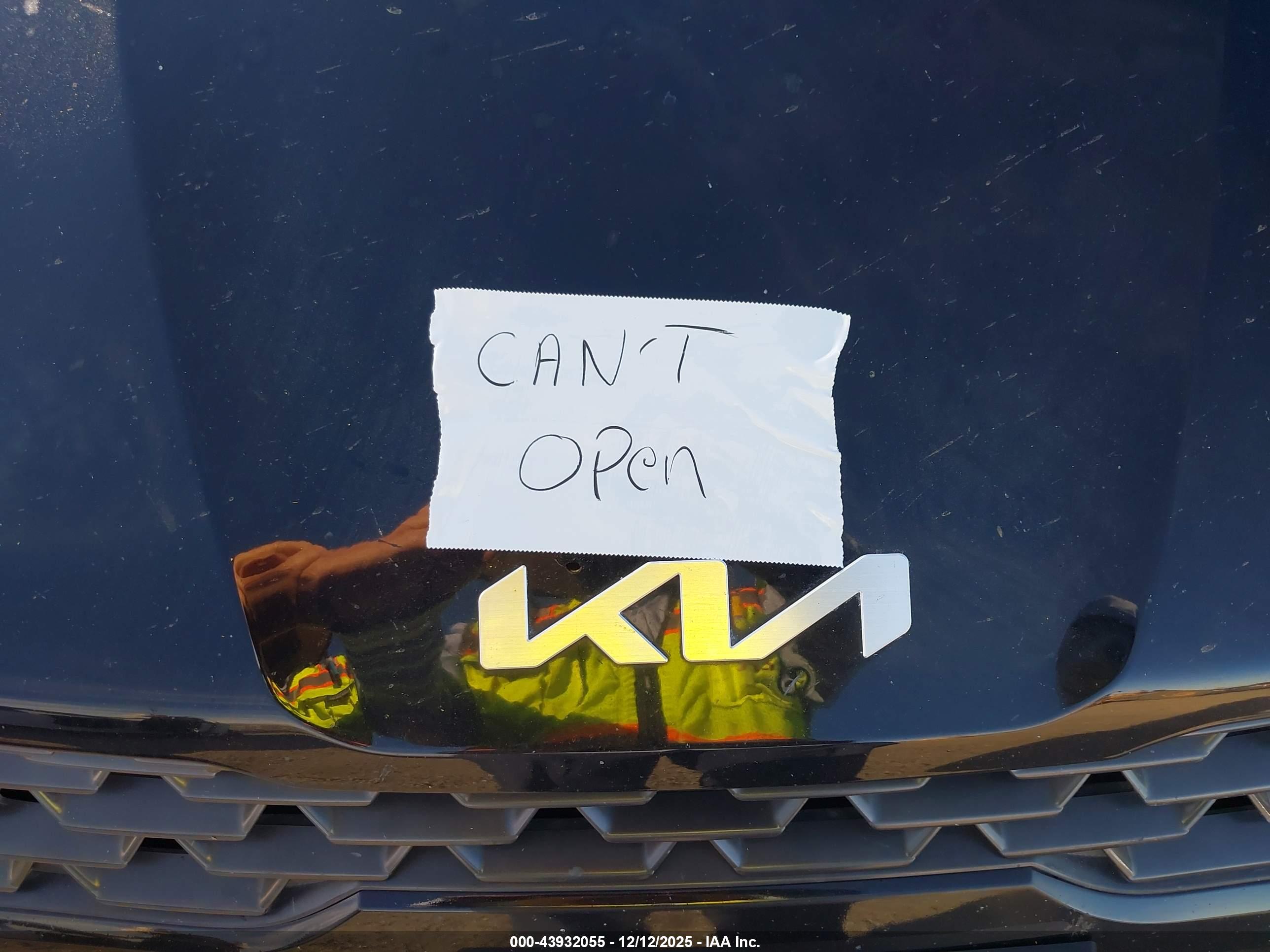 KIA K5 image 10