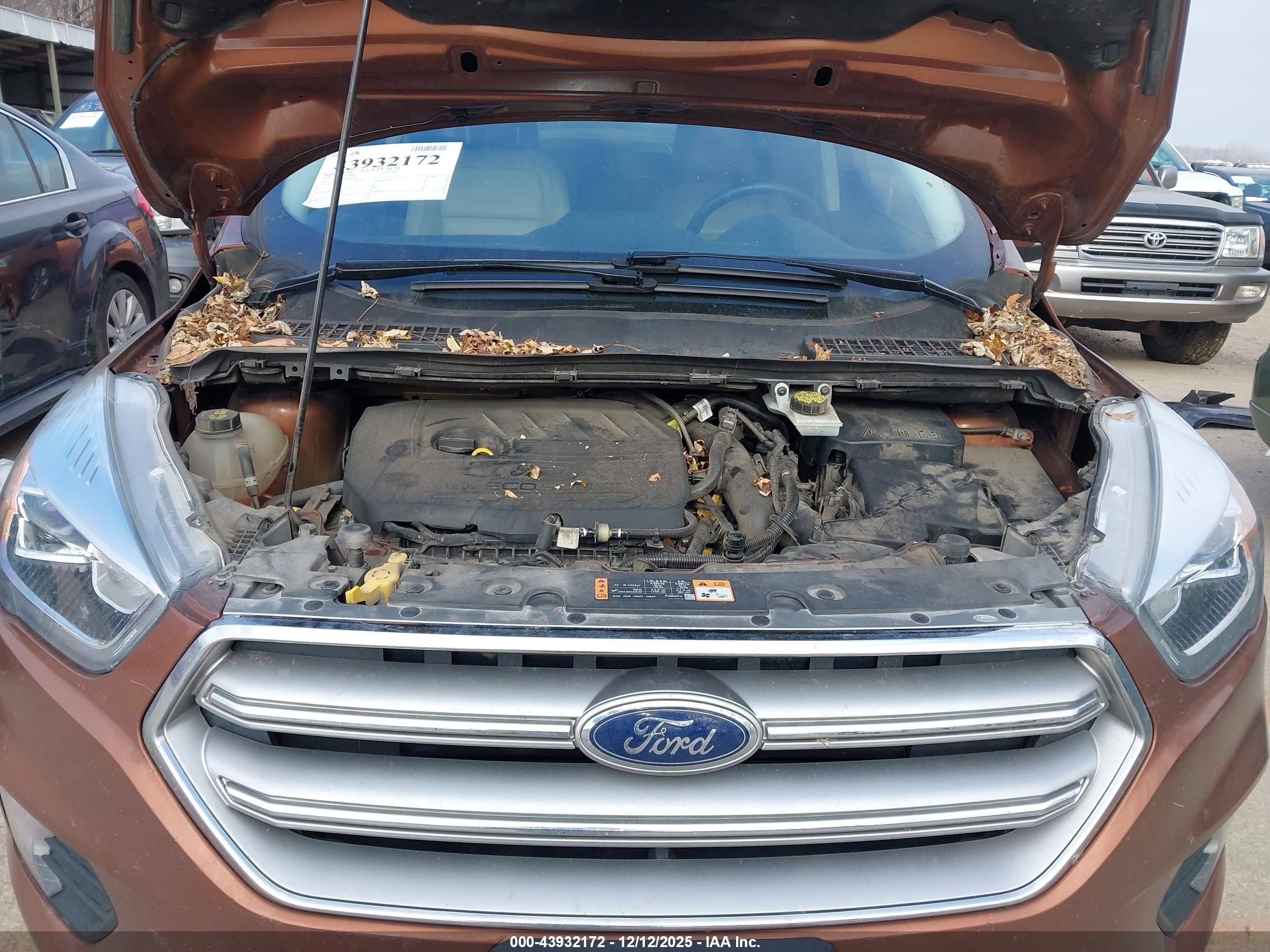 FORD ESCAPE image 10
