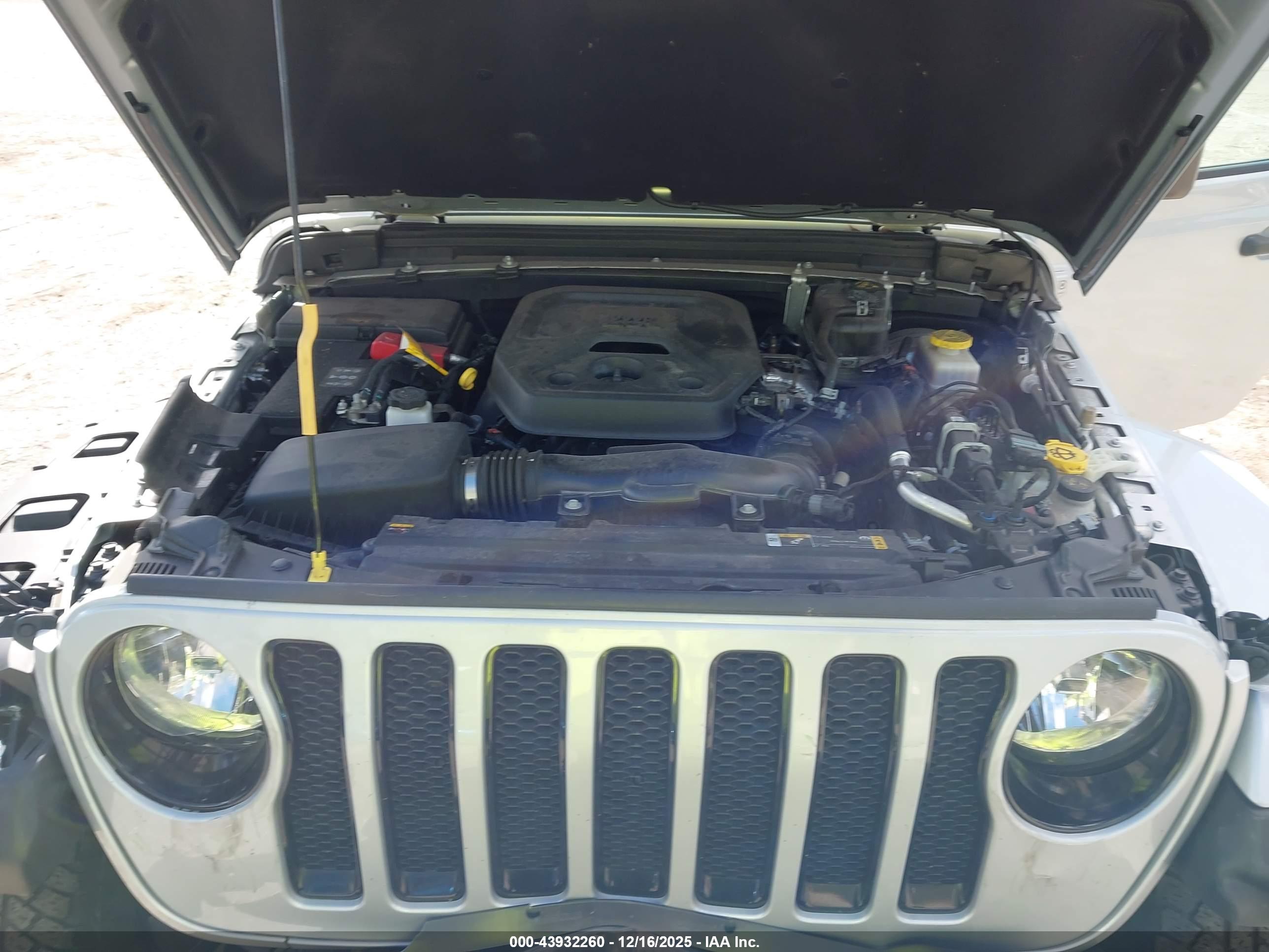 JEEP WRANGLER image 10