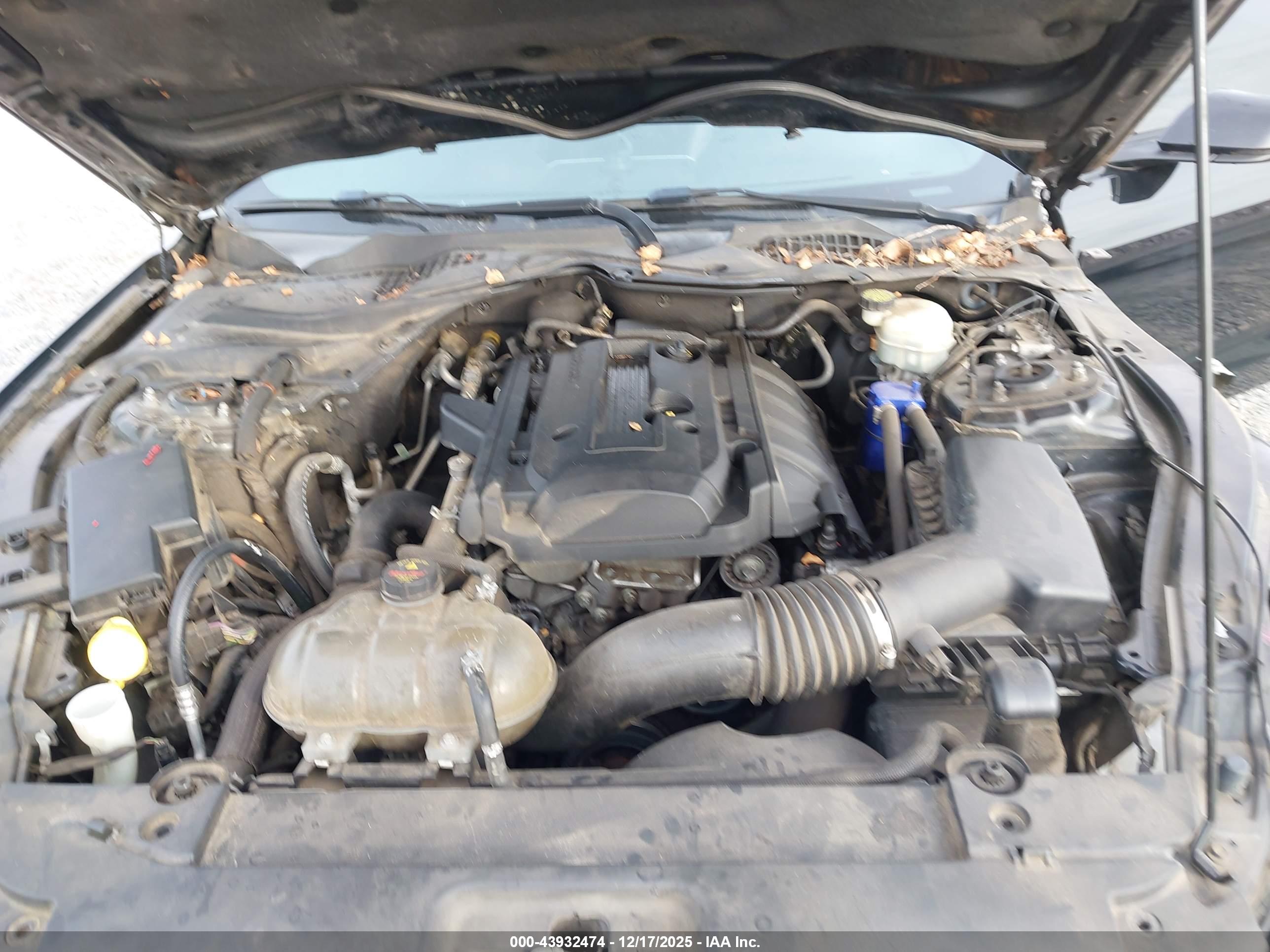FORD MUSTANG image 10