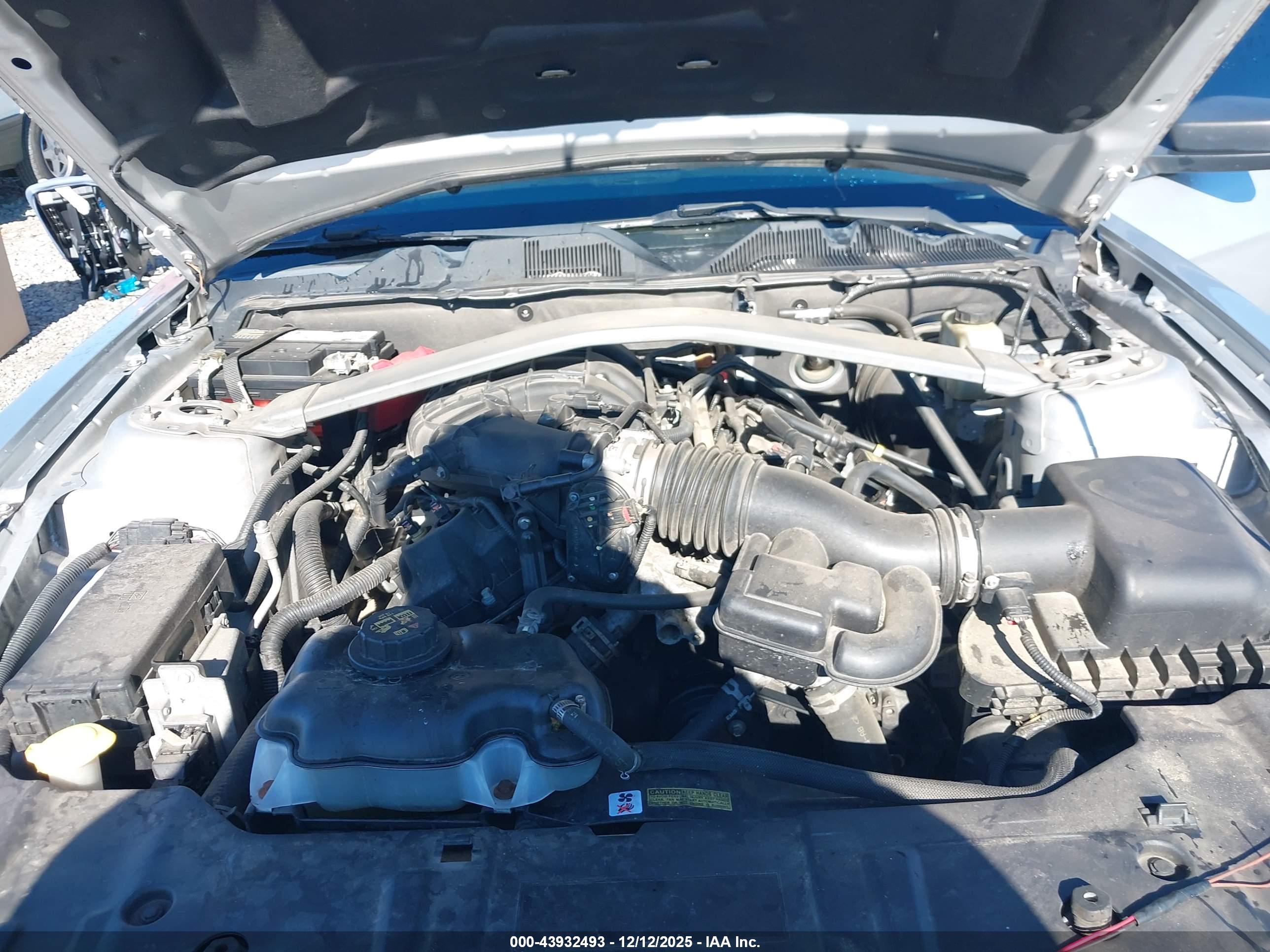 FORD MUSTANG image 10