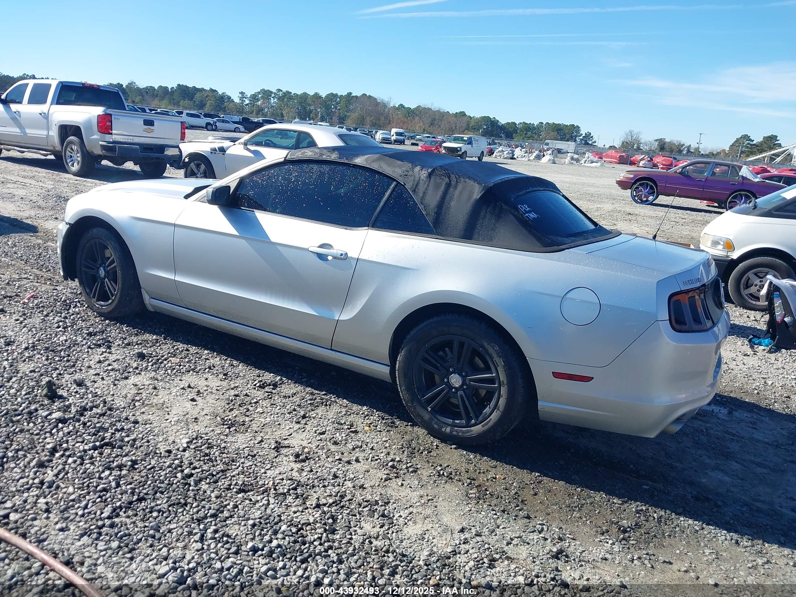 FORD MUSTANG image 3