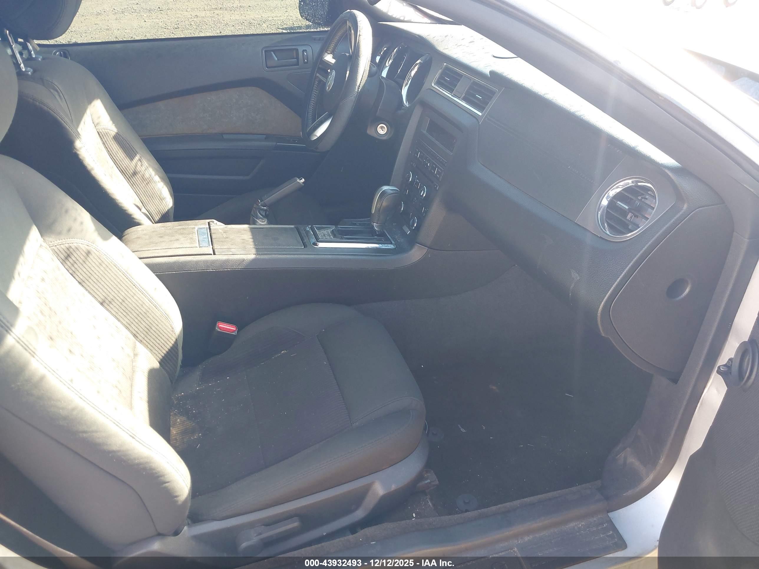 FORD MUSTANG image 5