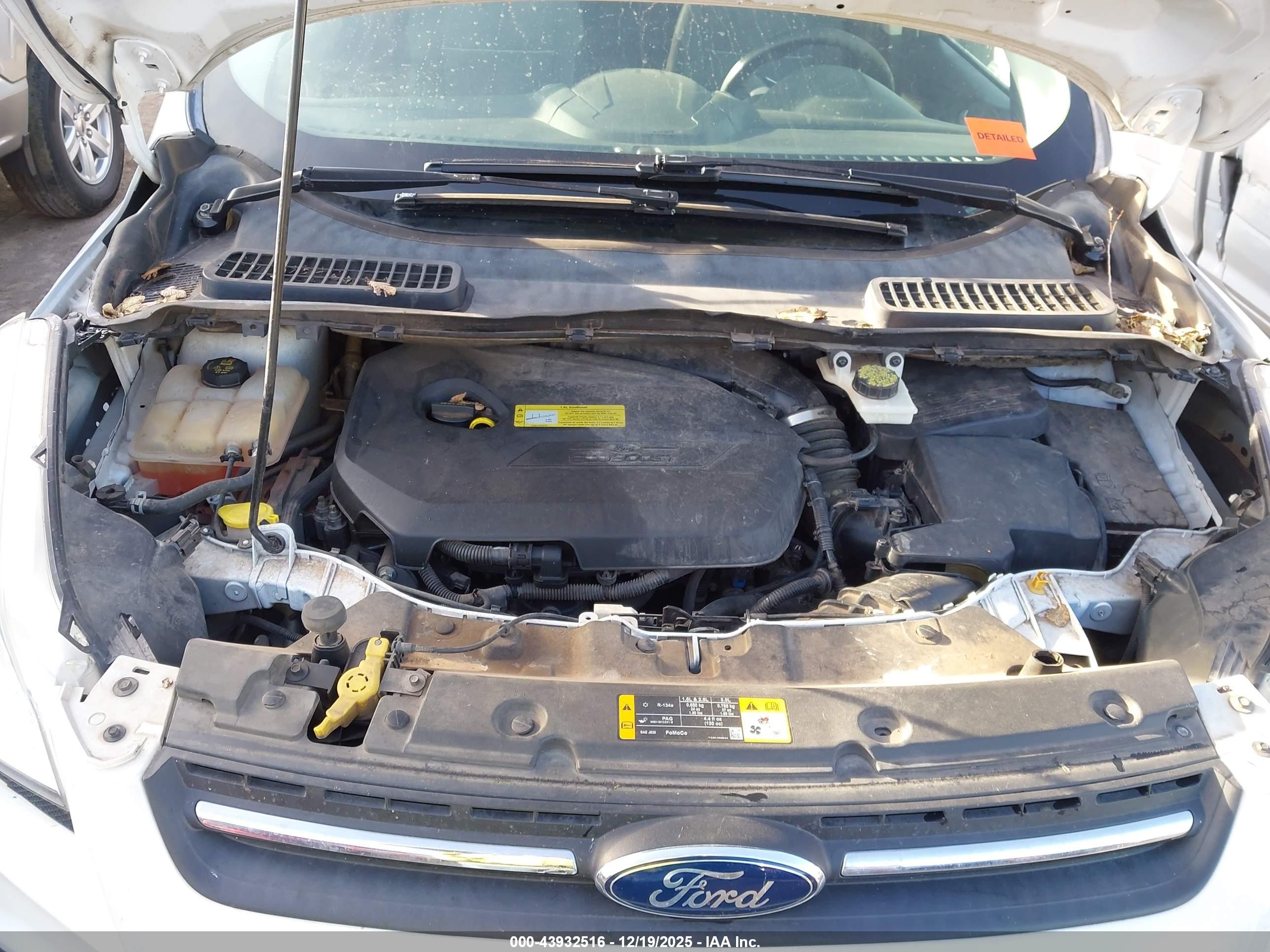FORD ESCAPE image 10