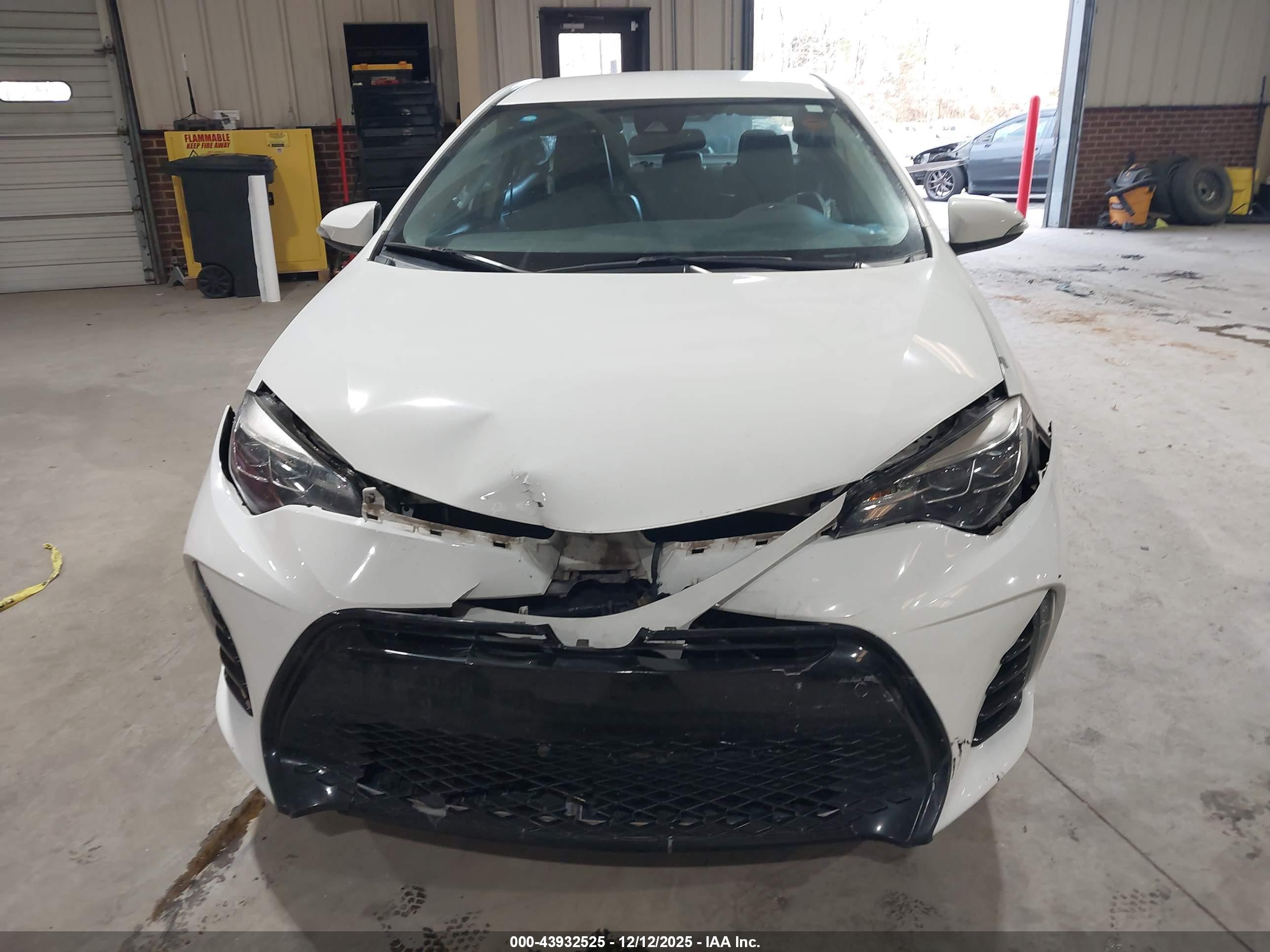 TOYOTA COROLLA image 6