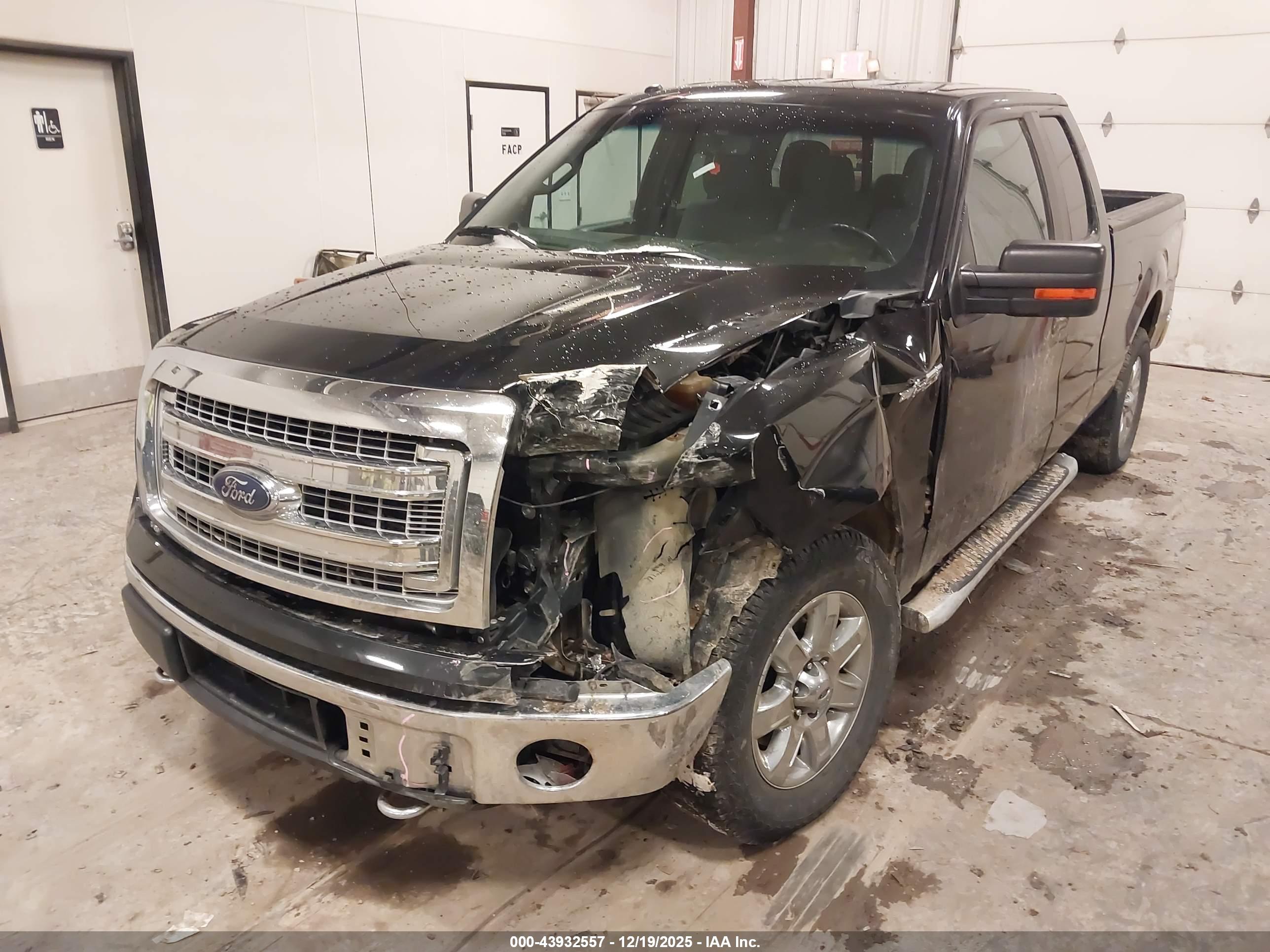 FORD F-150 image 2