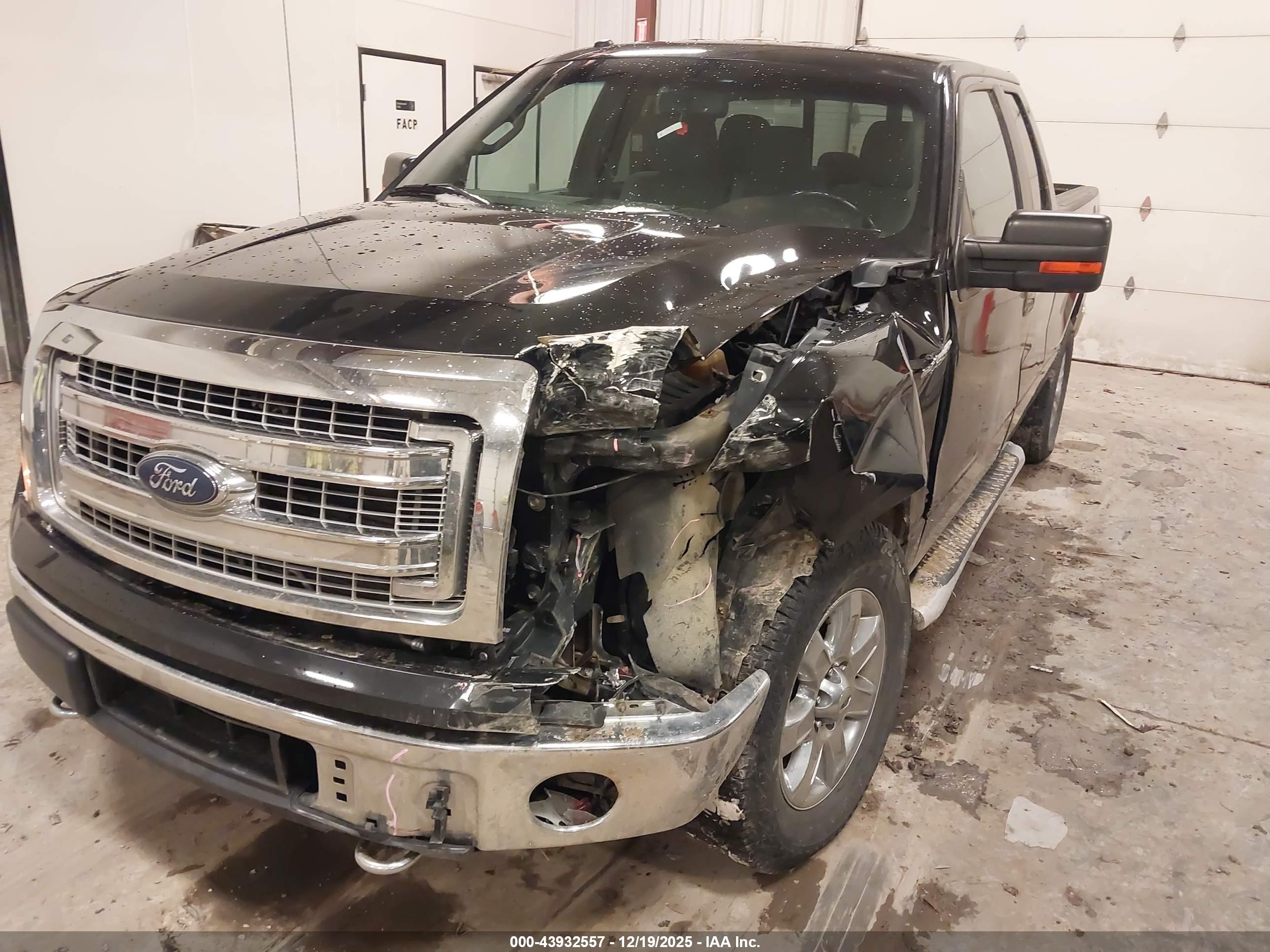 FORD F-150 image 6