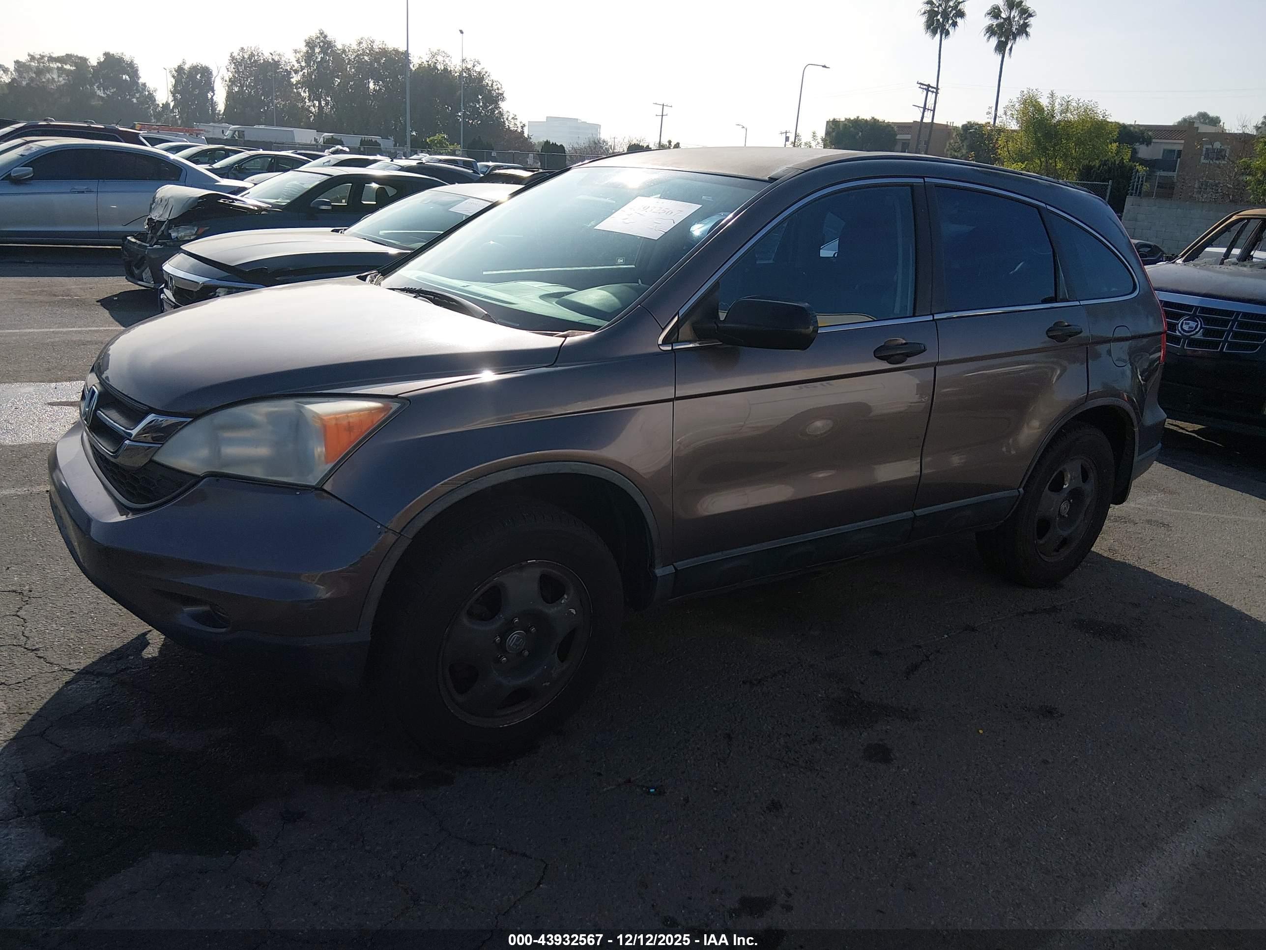 HONDA CR-V image 2