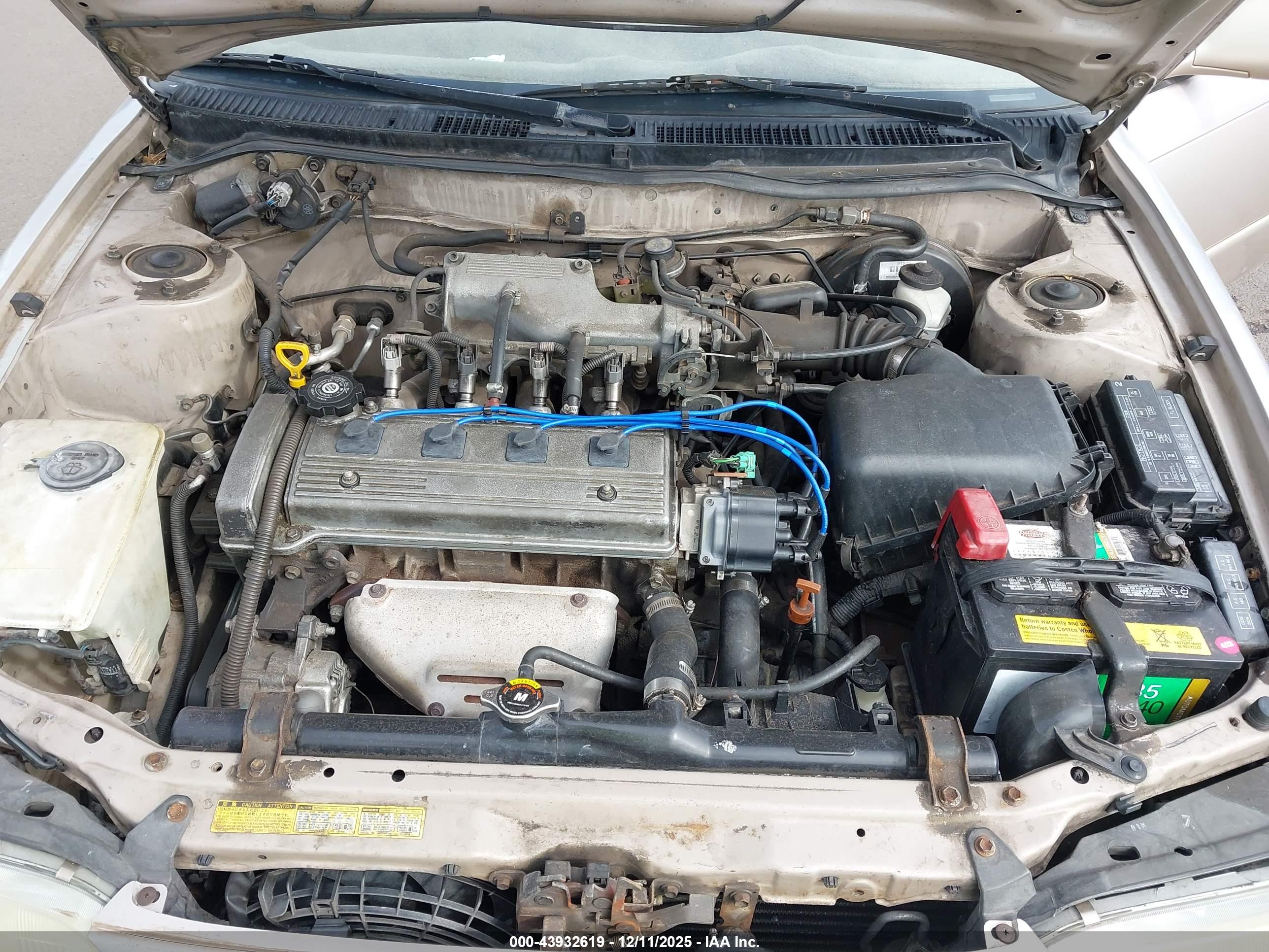 TOYOTA COROLLA image 10
