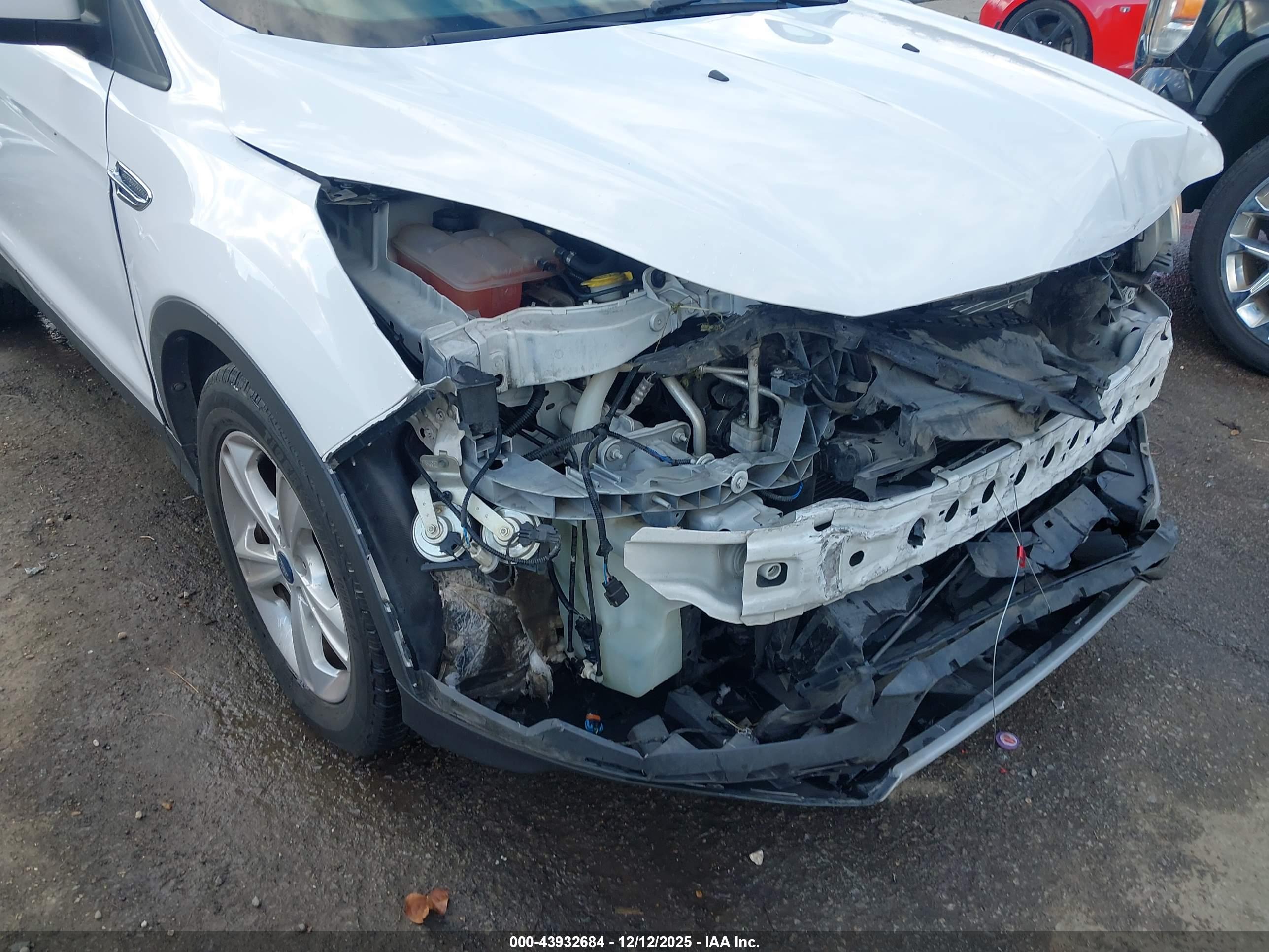 FORD ESCAPE image 6
