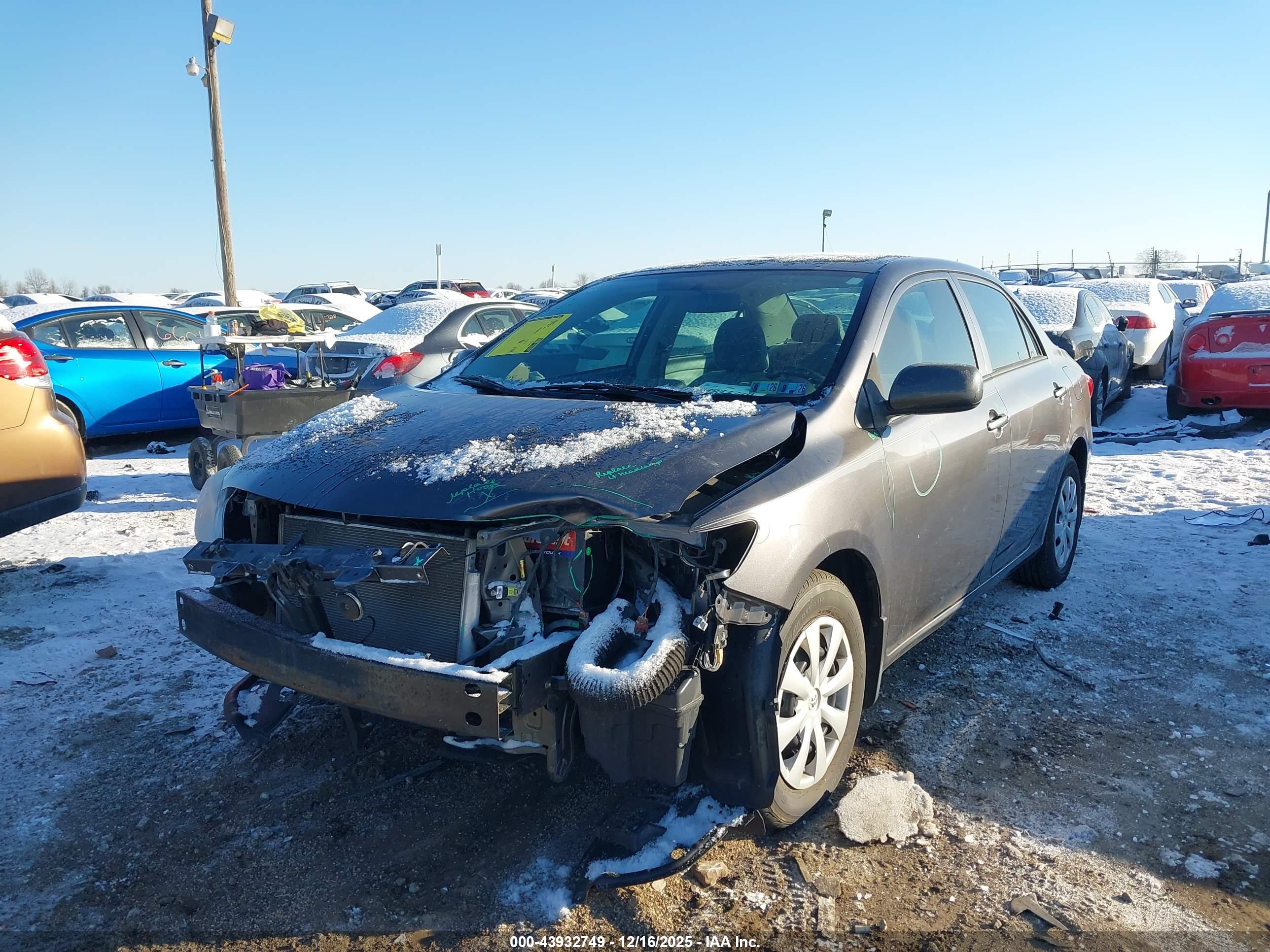 TOYOTA COROLLA image 6