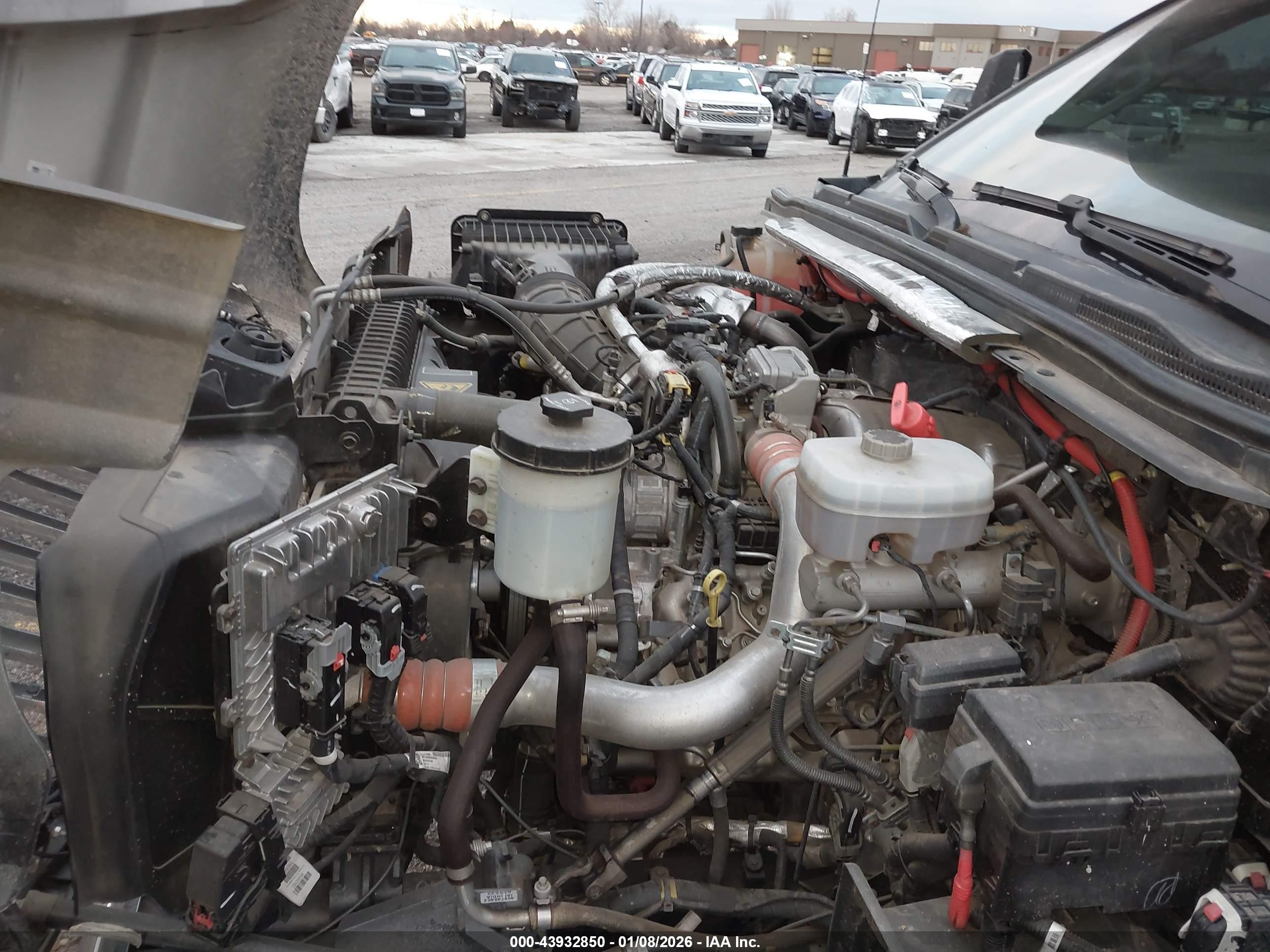 INTERNATIONAL CV image 10