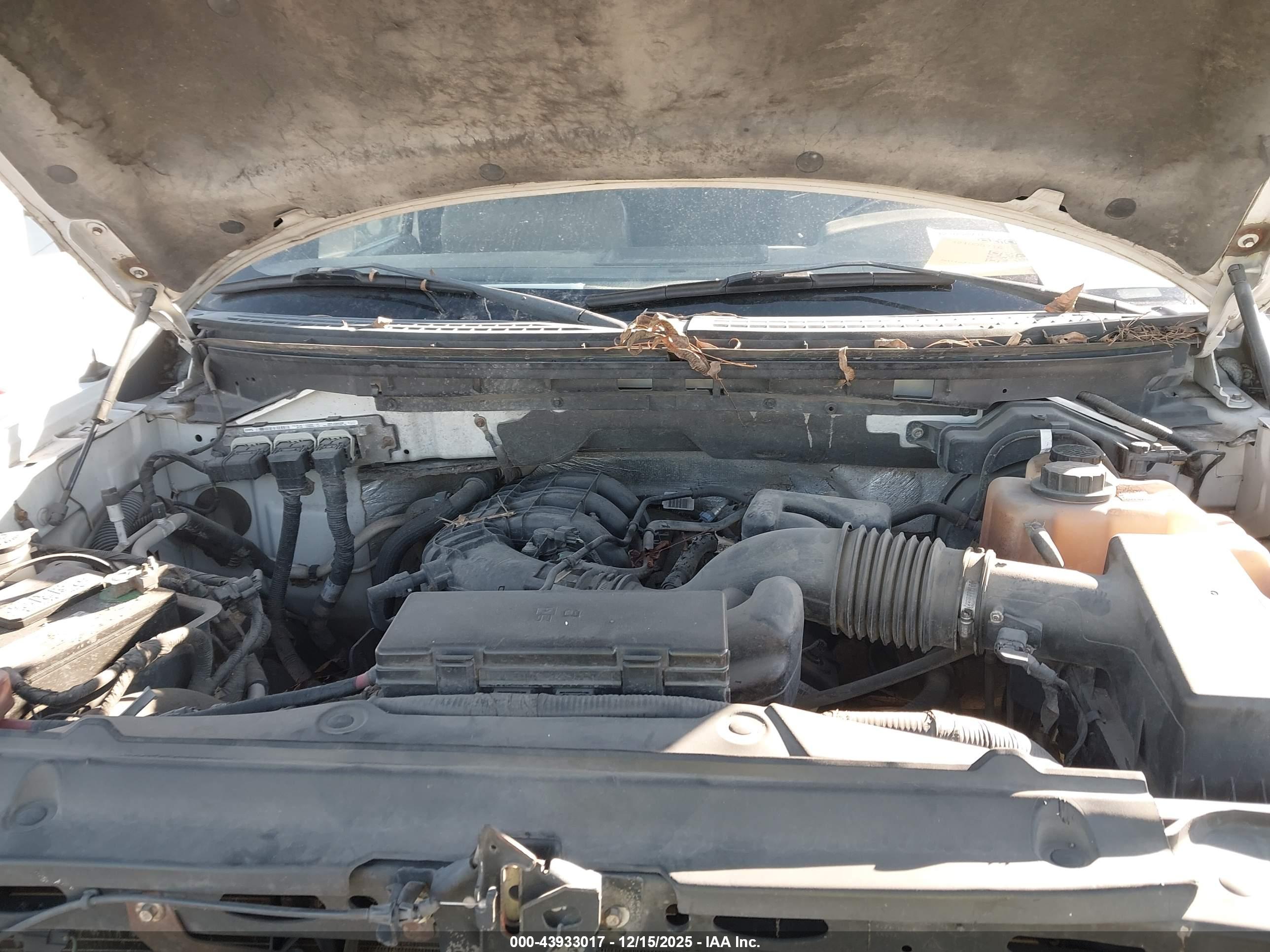 FORD F-150 image 10