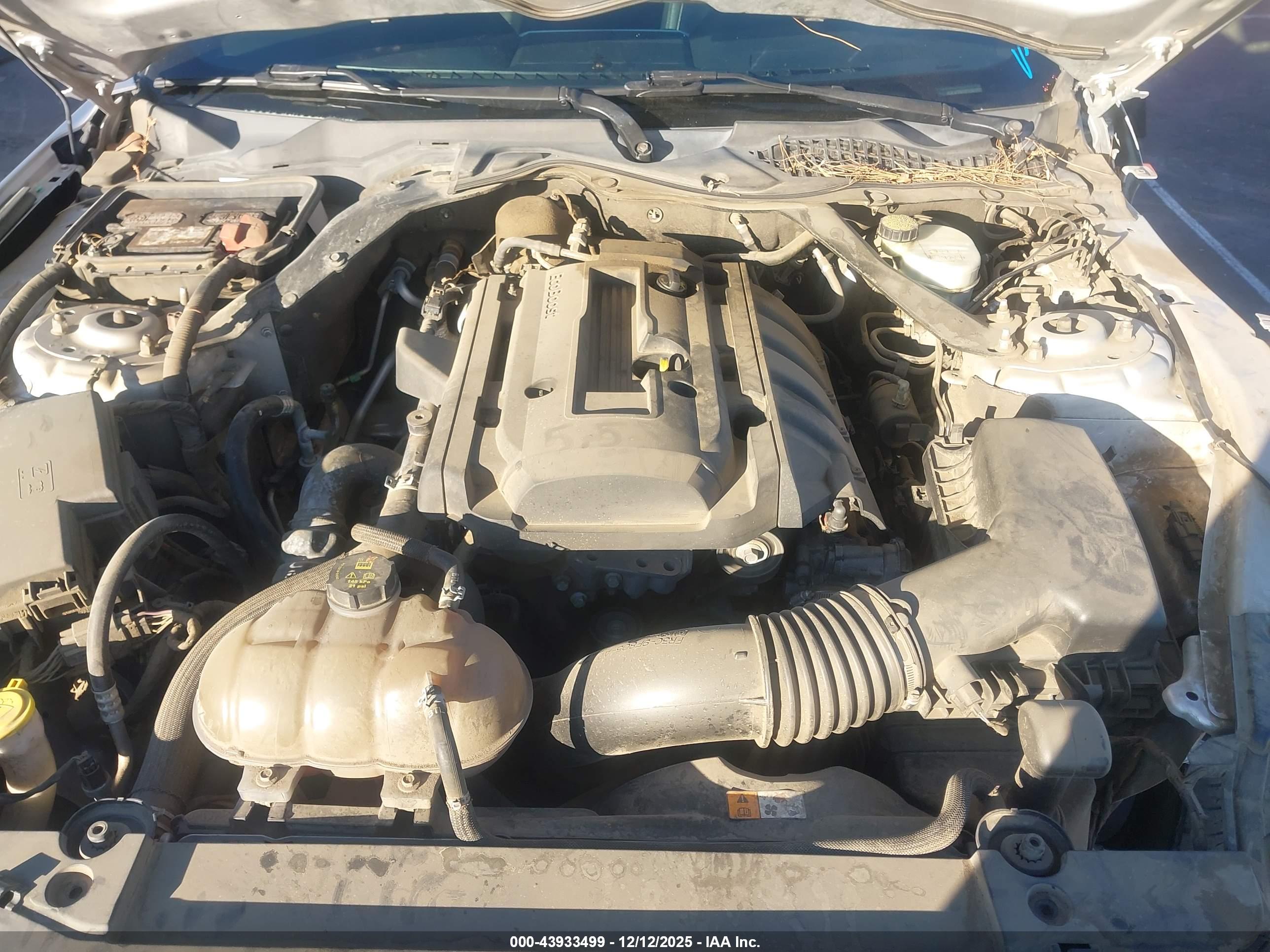 FORD MUSTANG image 10