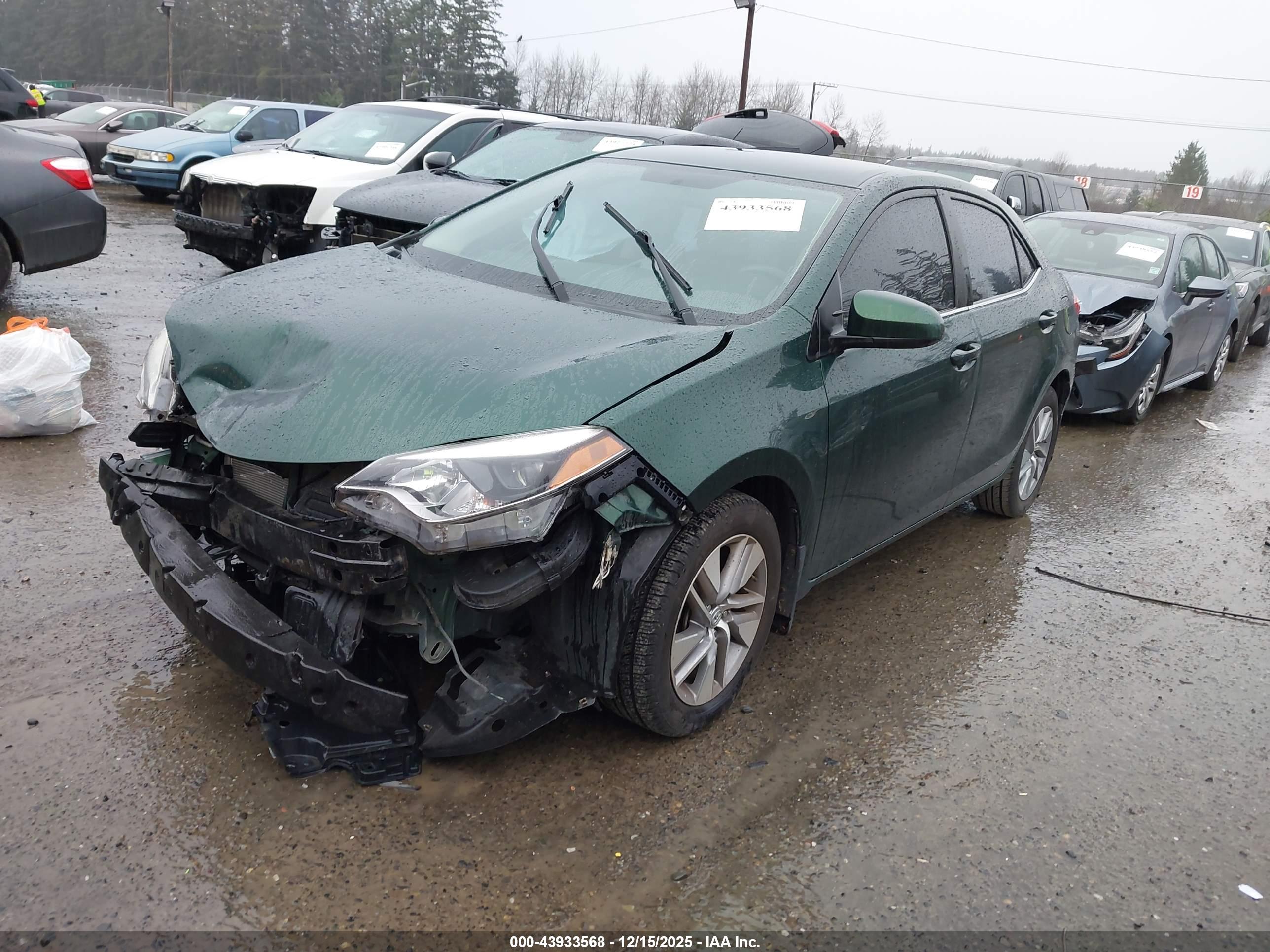 TOYOTA COROLLA image 2