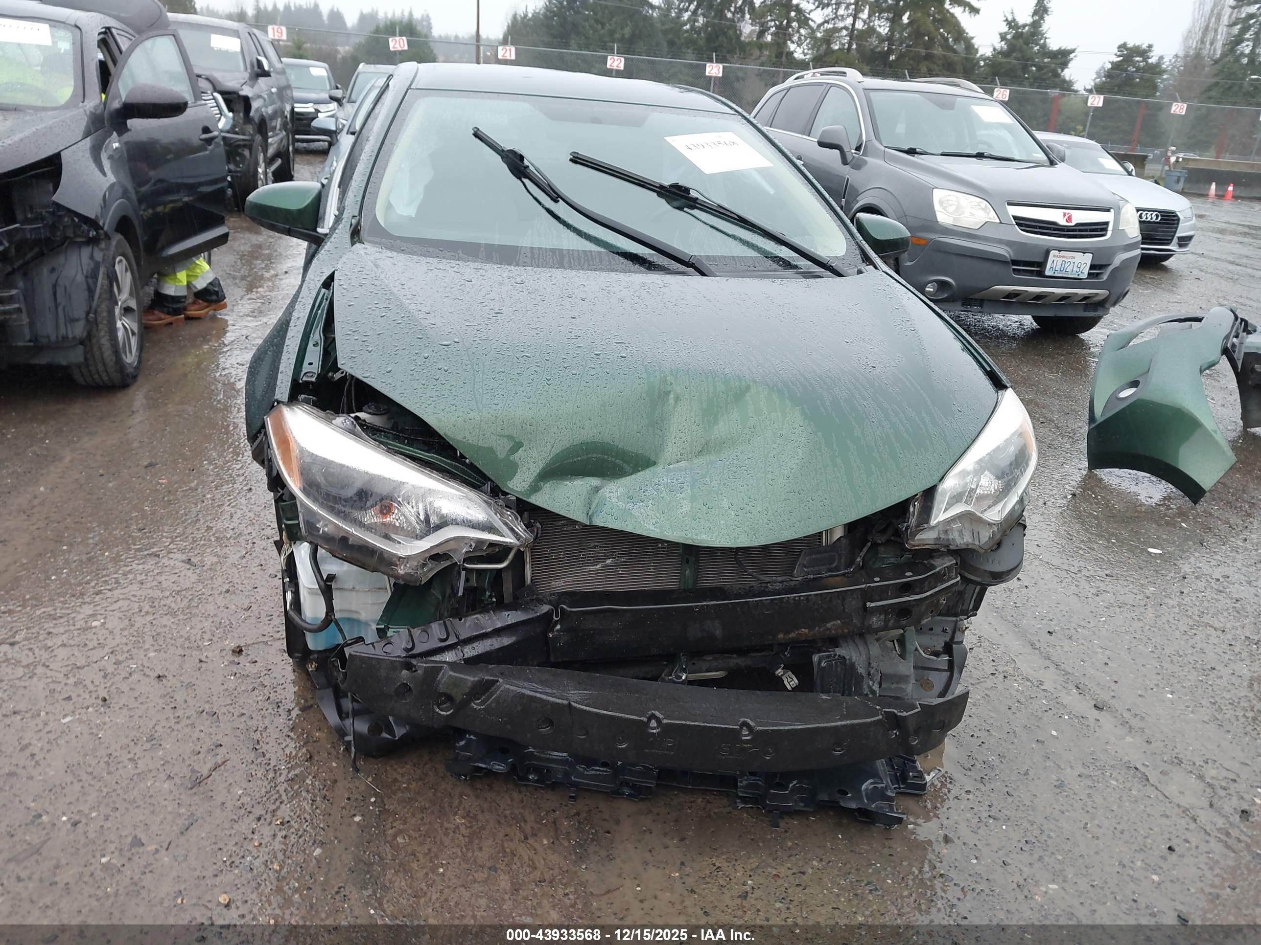 TOYOTA COROLLA image 6
