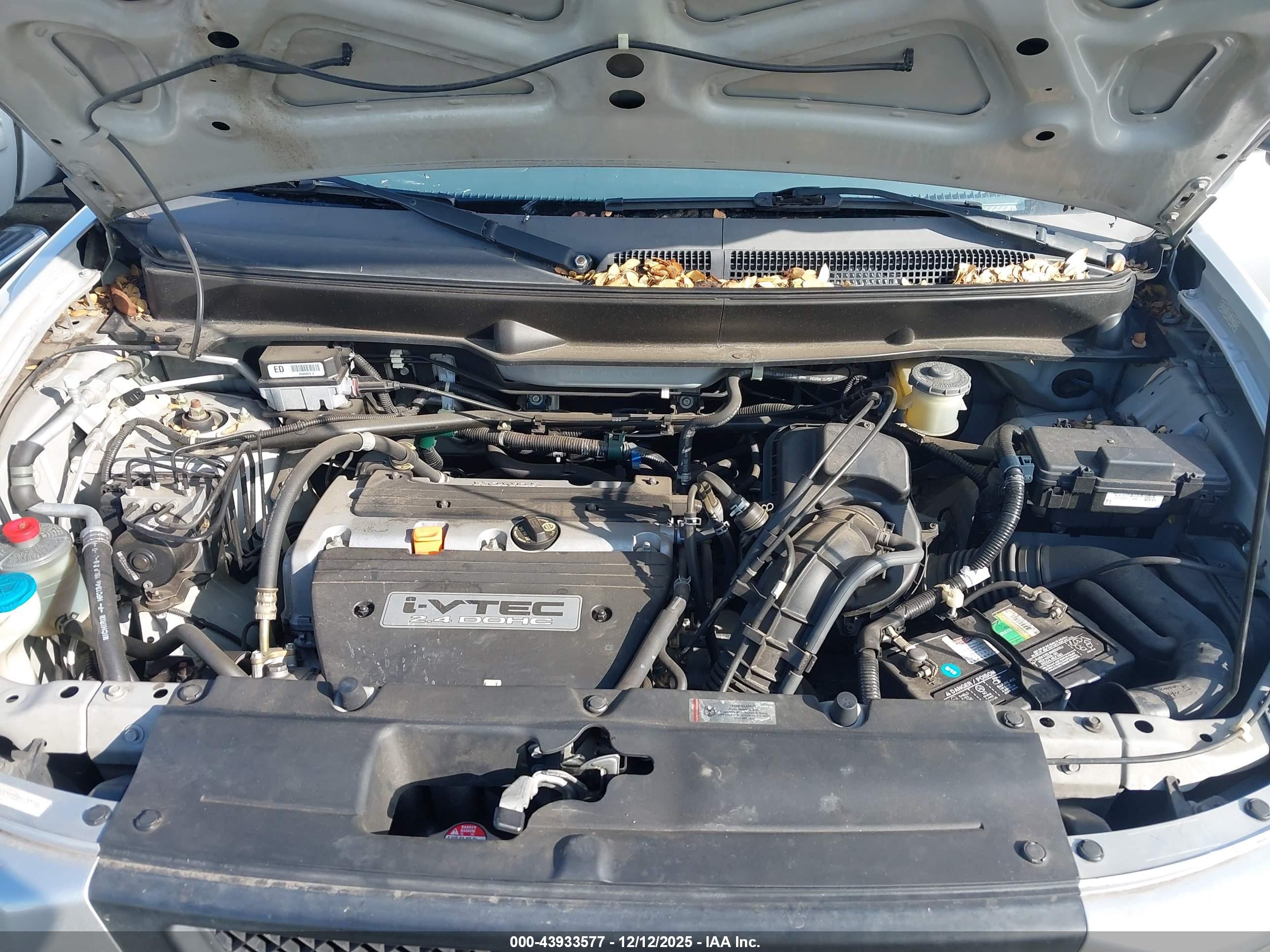 HONDA ELEMENT image 10