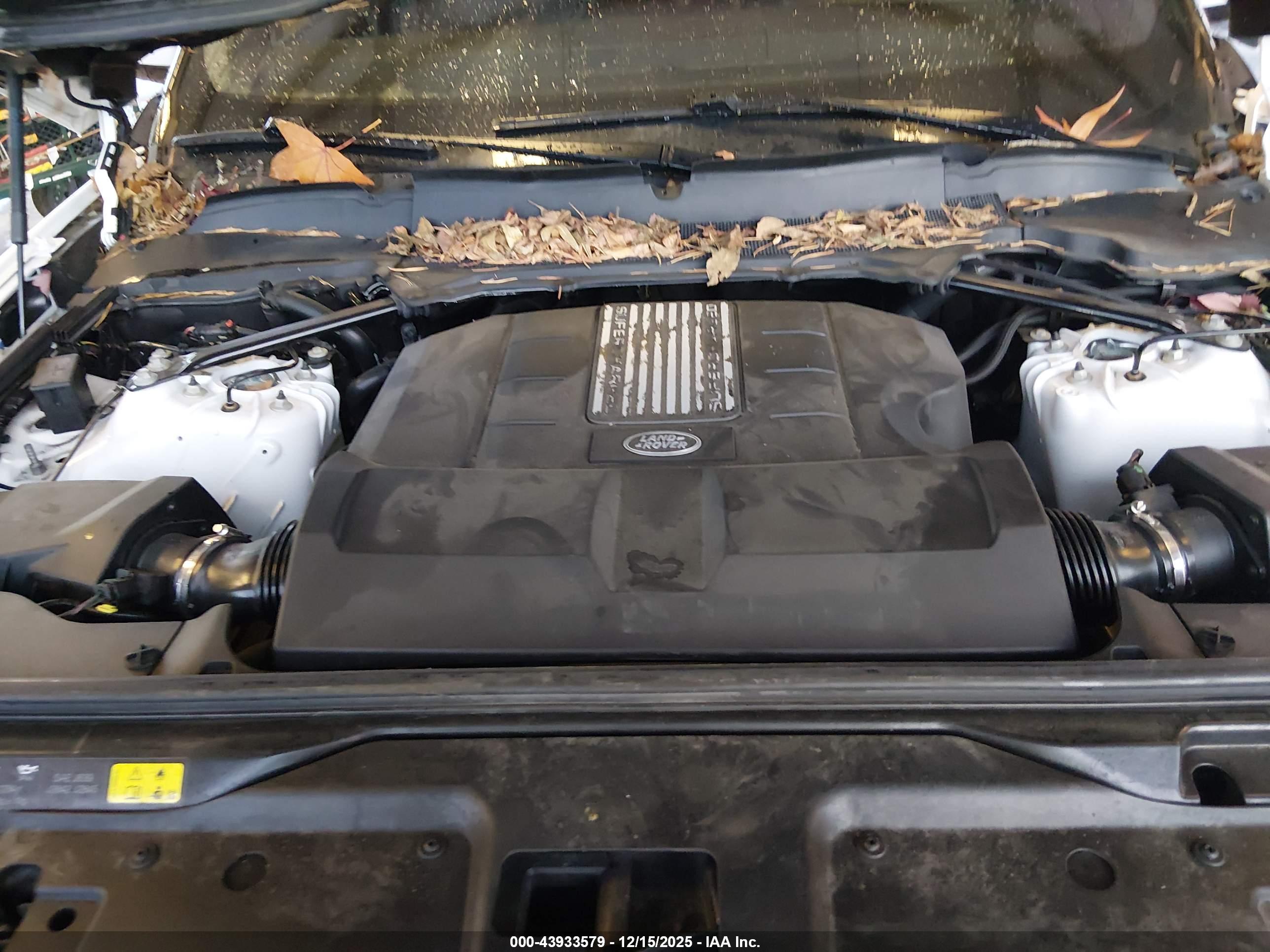 LAND ROVER image 10