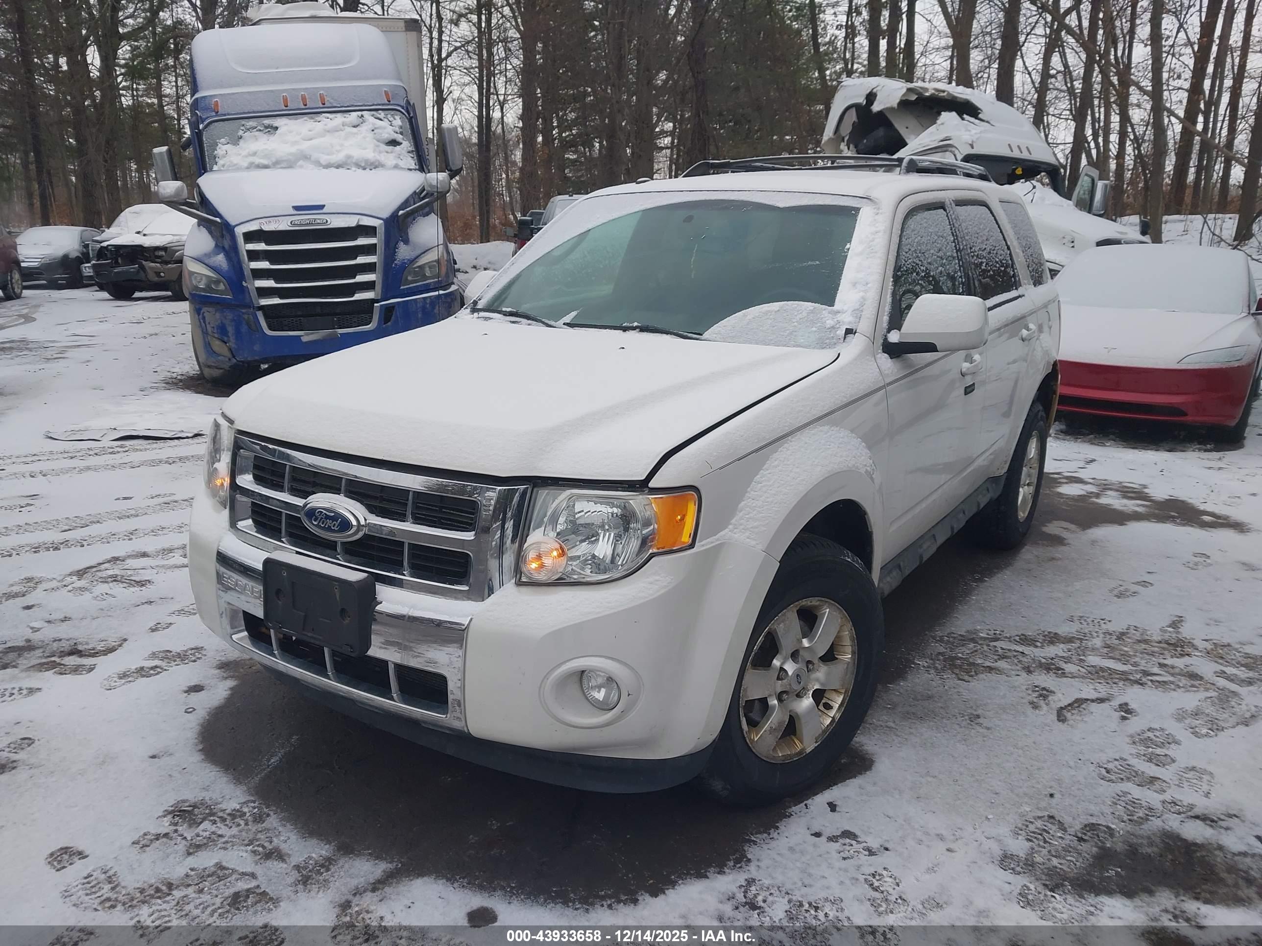 FORD ESCAPE image 6