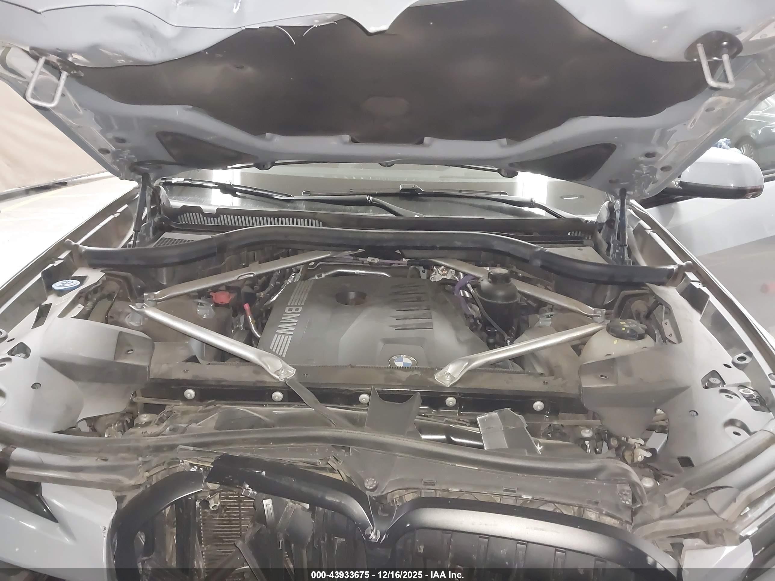 BMW X7 image 10