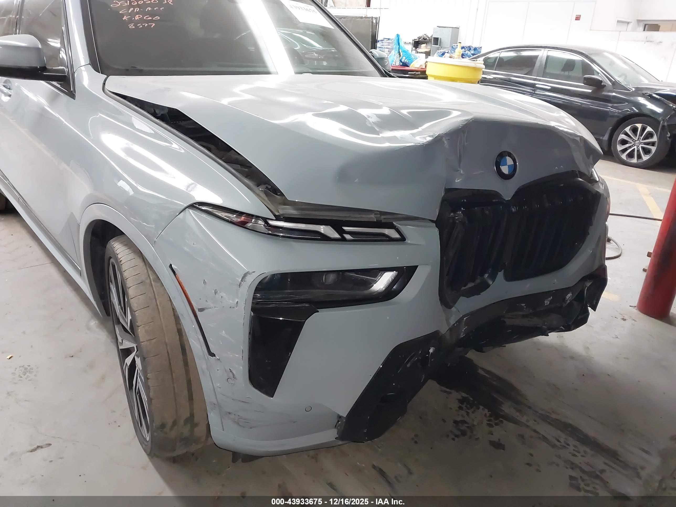 BMW X7 image 6