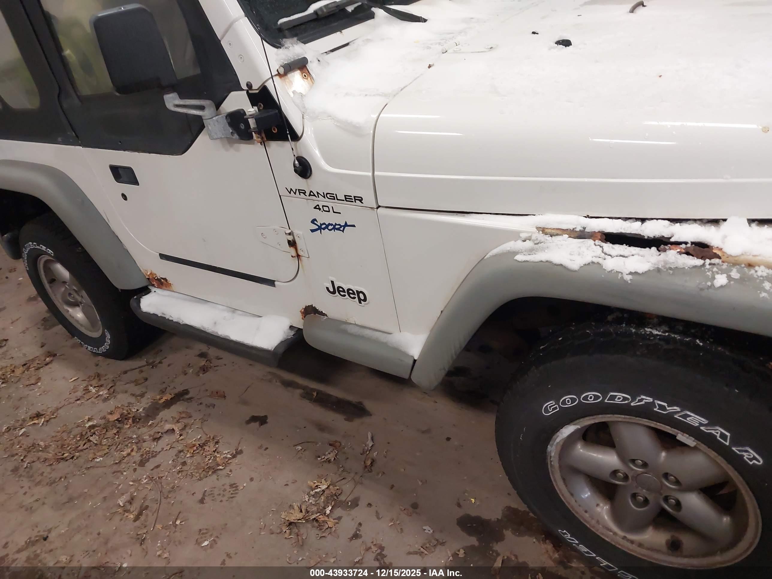 JEEP WRANGLER image 6