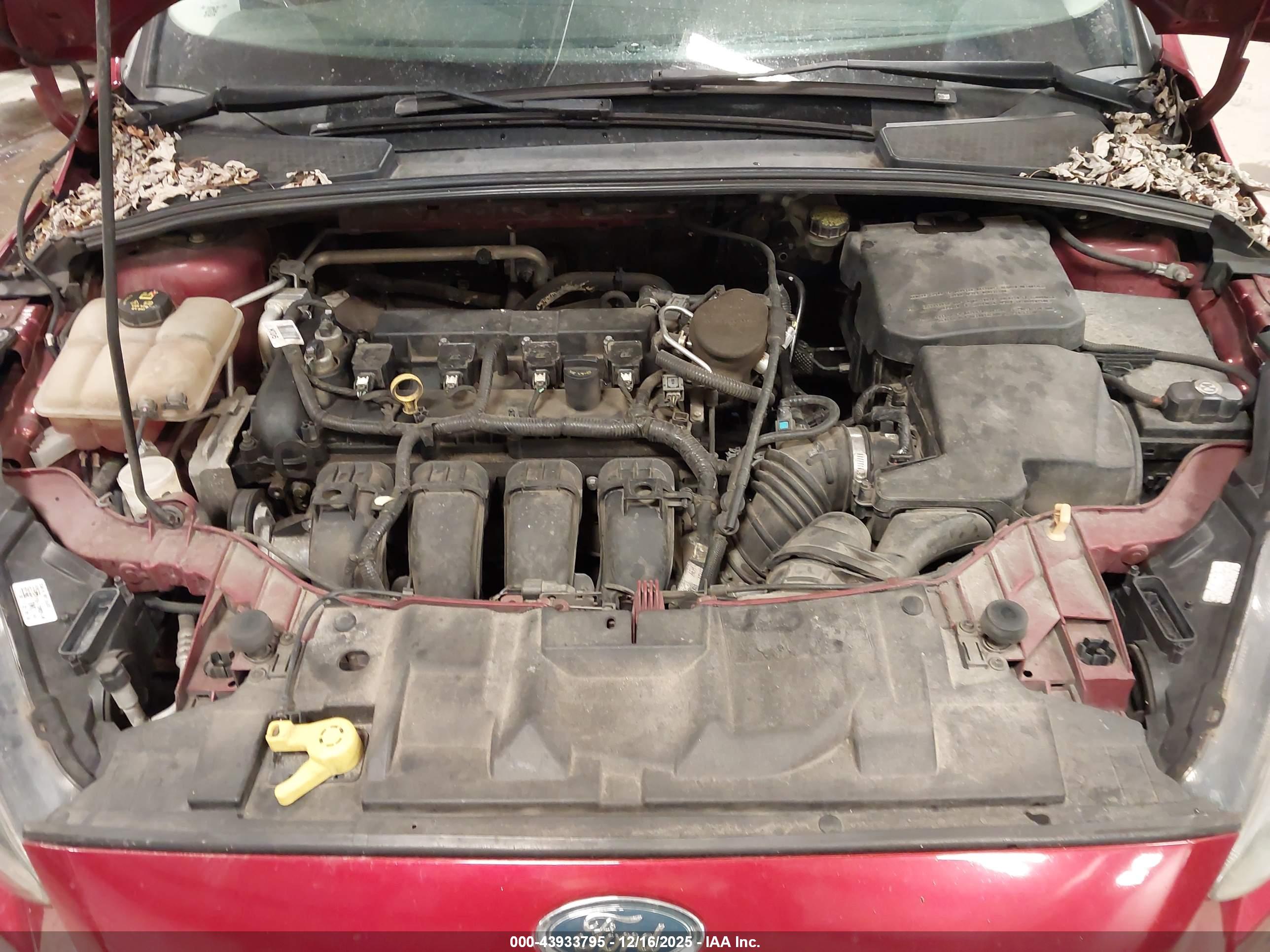 FORD FOCUS image 10