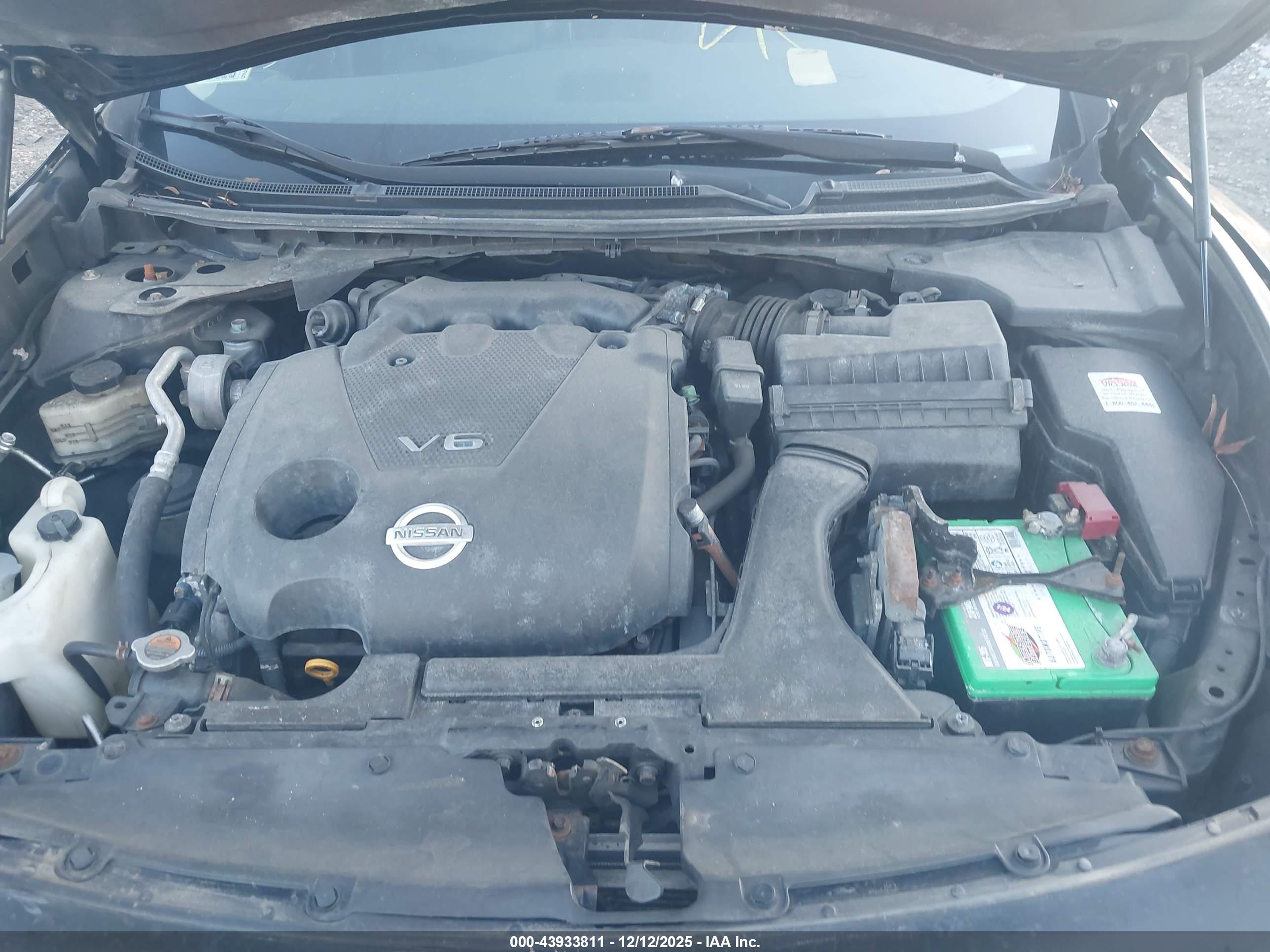 NISSAN MAXIMA image 10