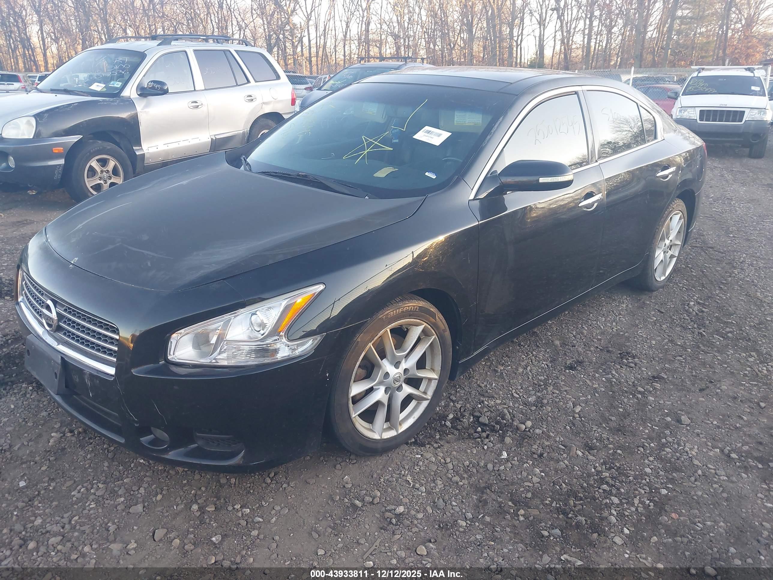 NISSAN MAXIMA image 2