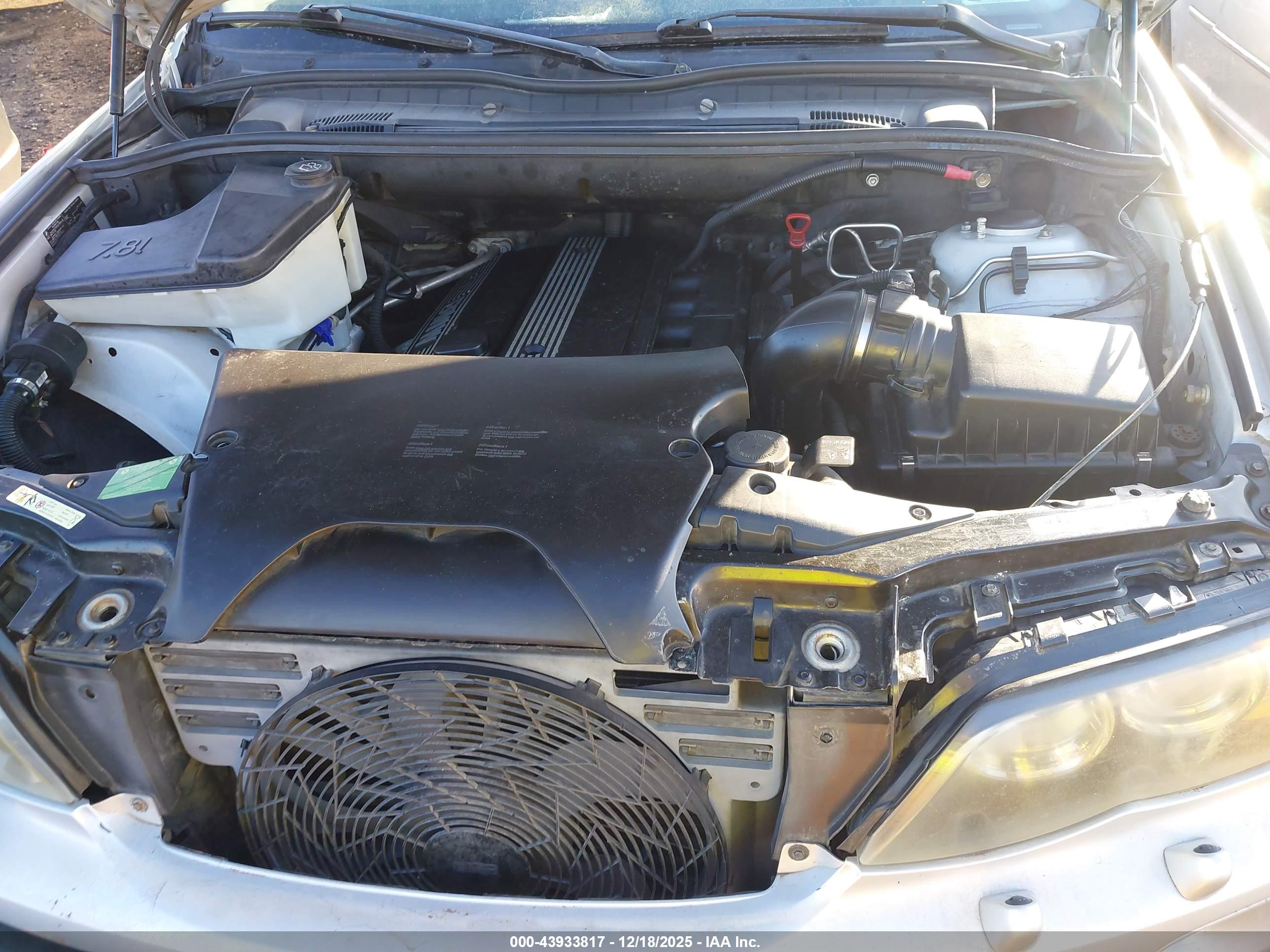 BMW X5 image 10