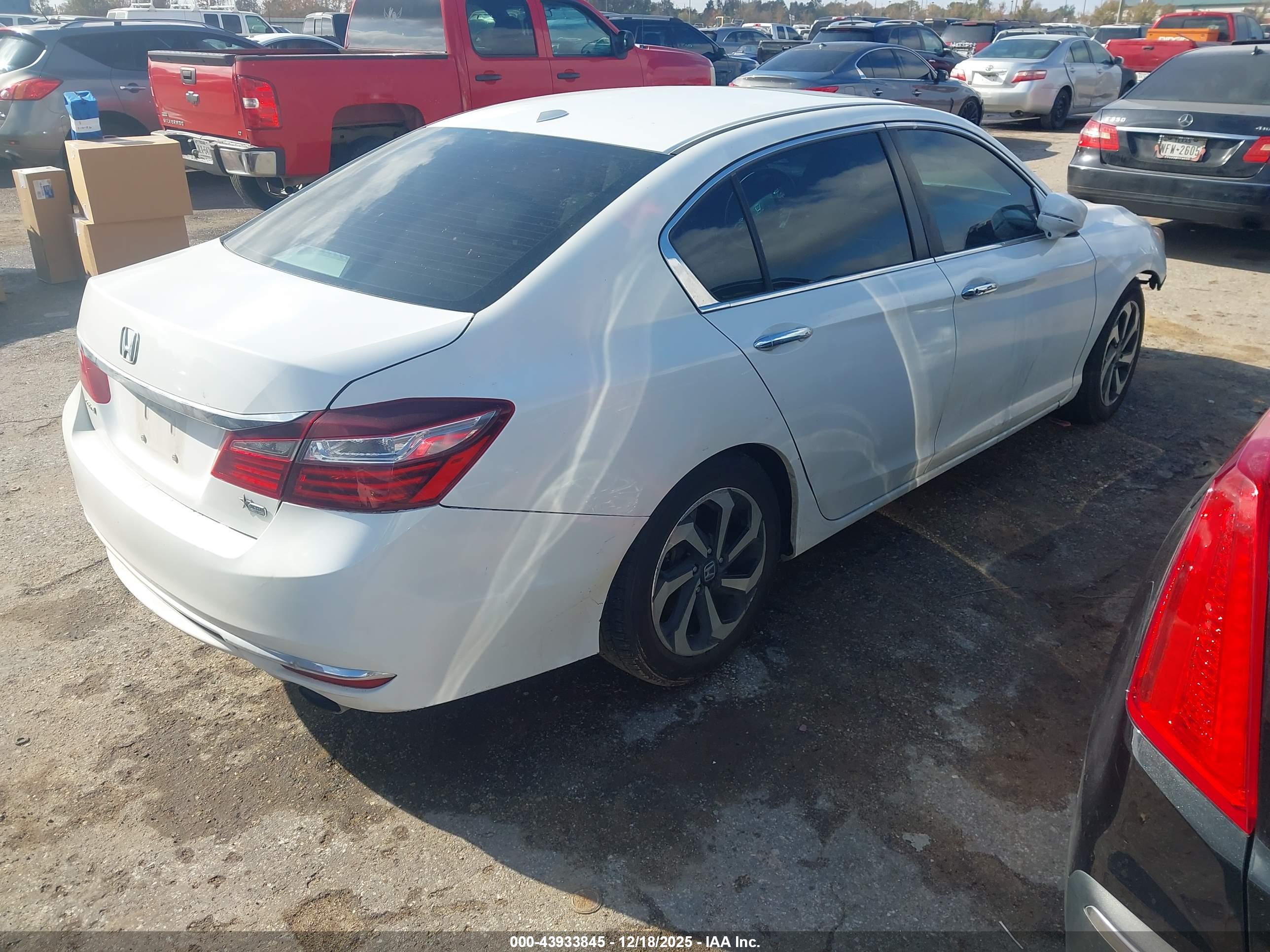HONDA ACCORD image 4