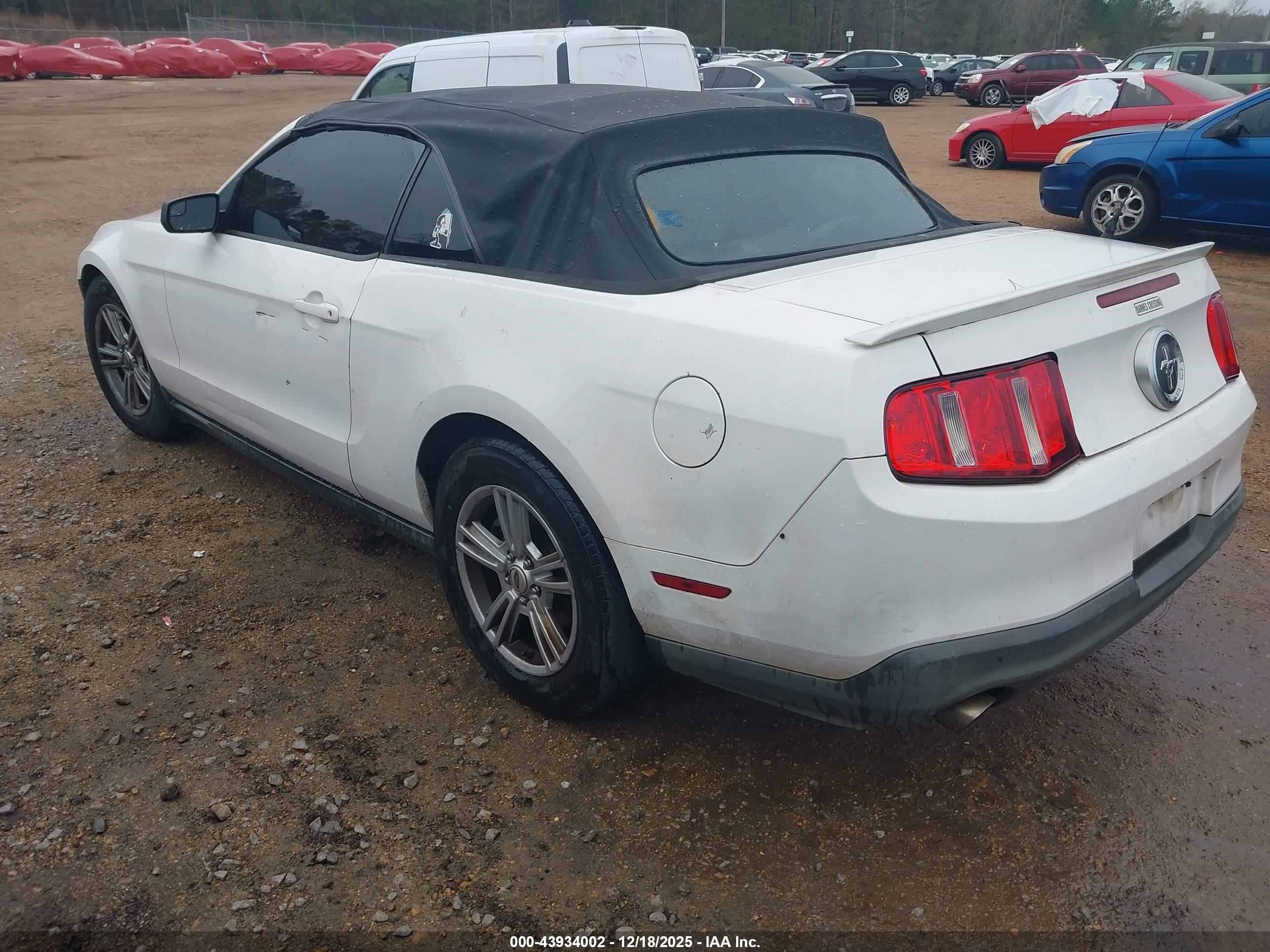FORD MUSTANG image 3