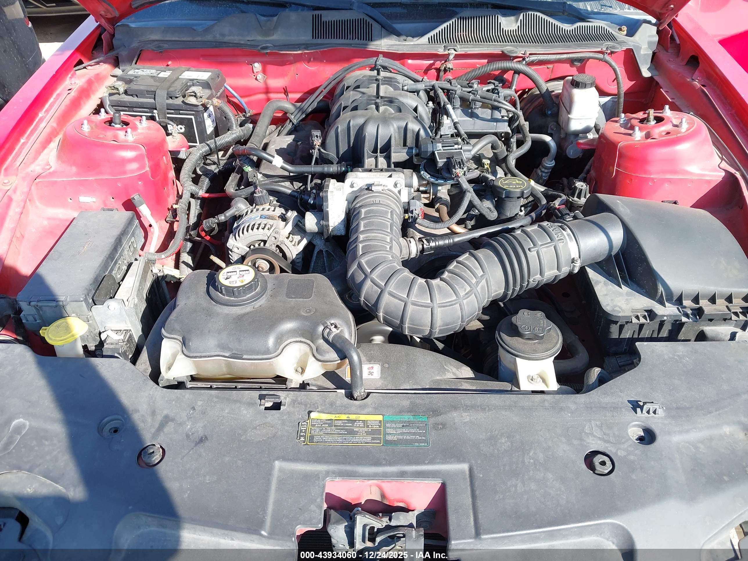 FORD MUSTANG image 10