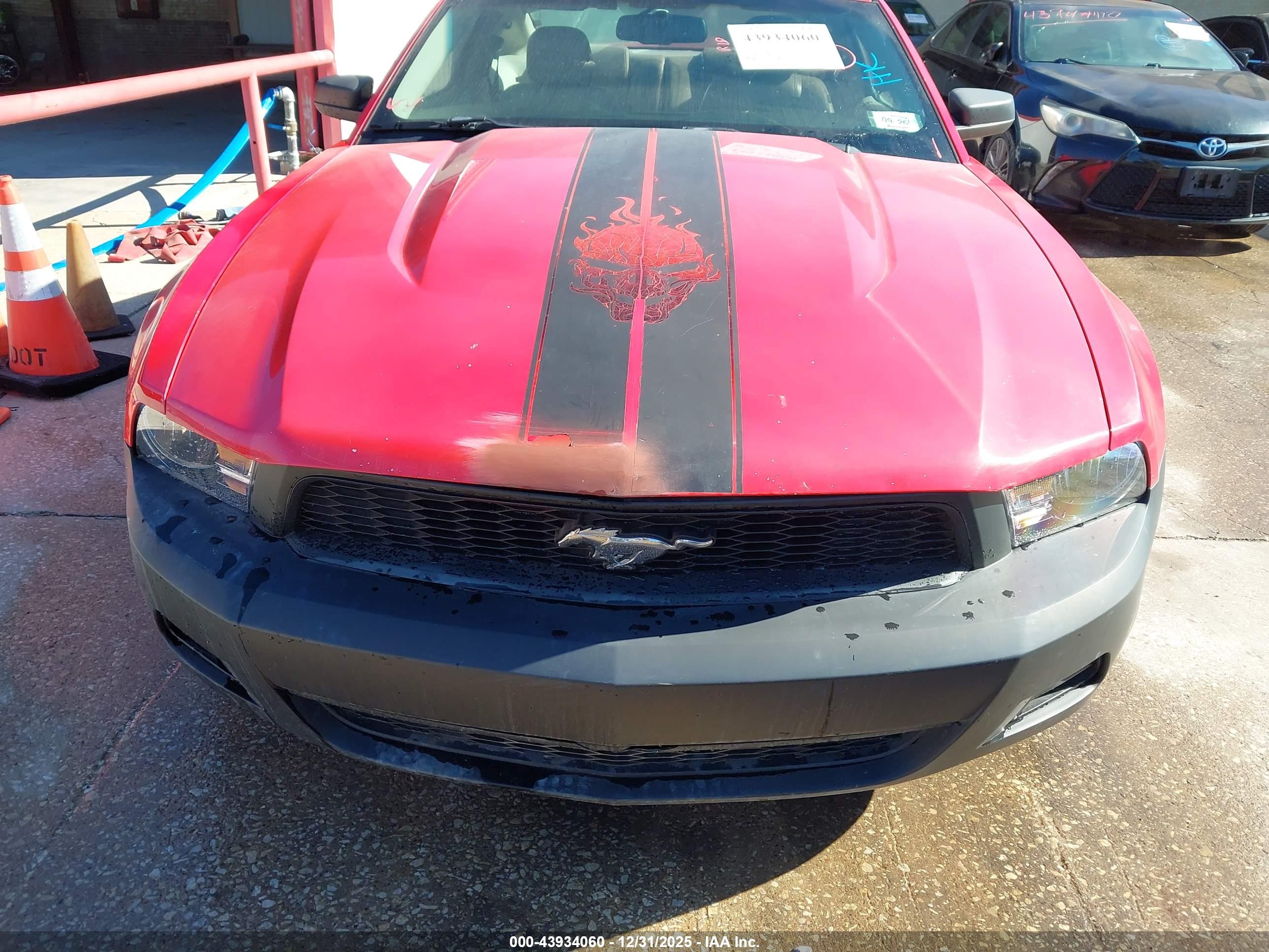 FORD MUSTANG image 6