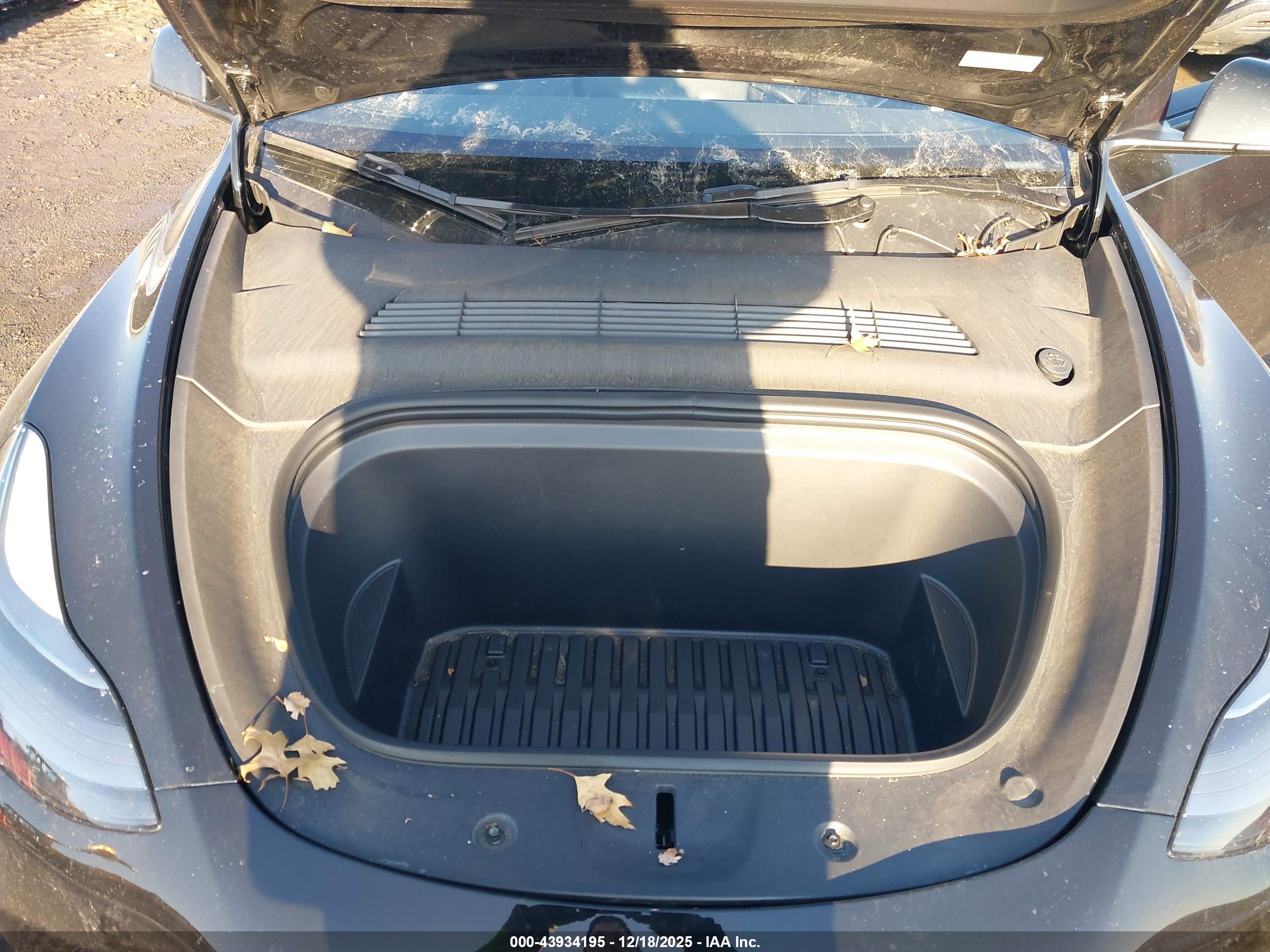 TESLA MODEL image 10