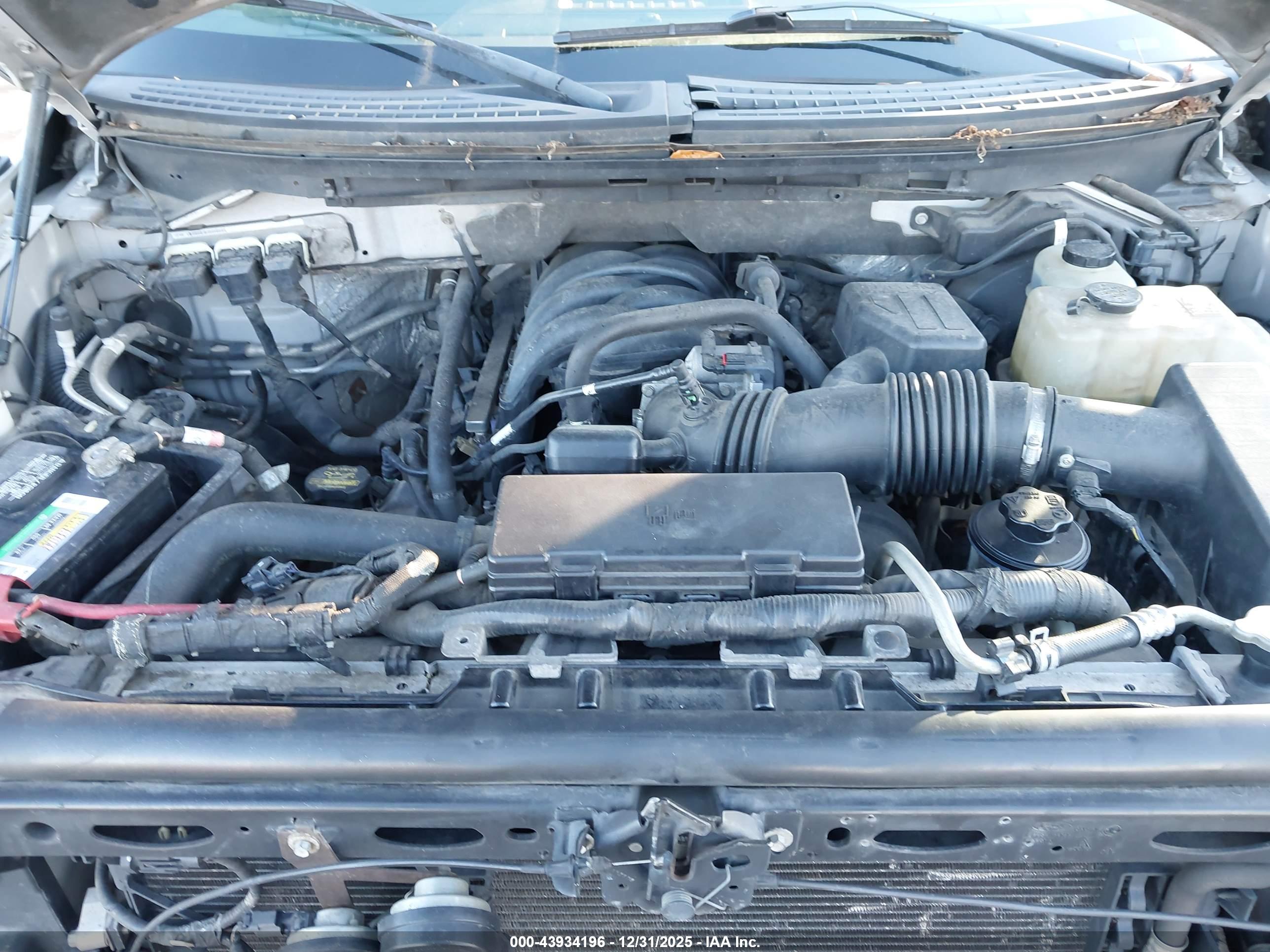 FORD F-150 image 10