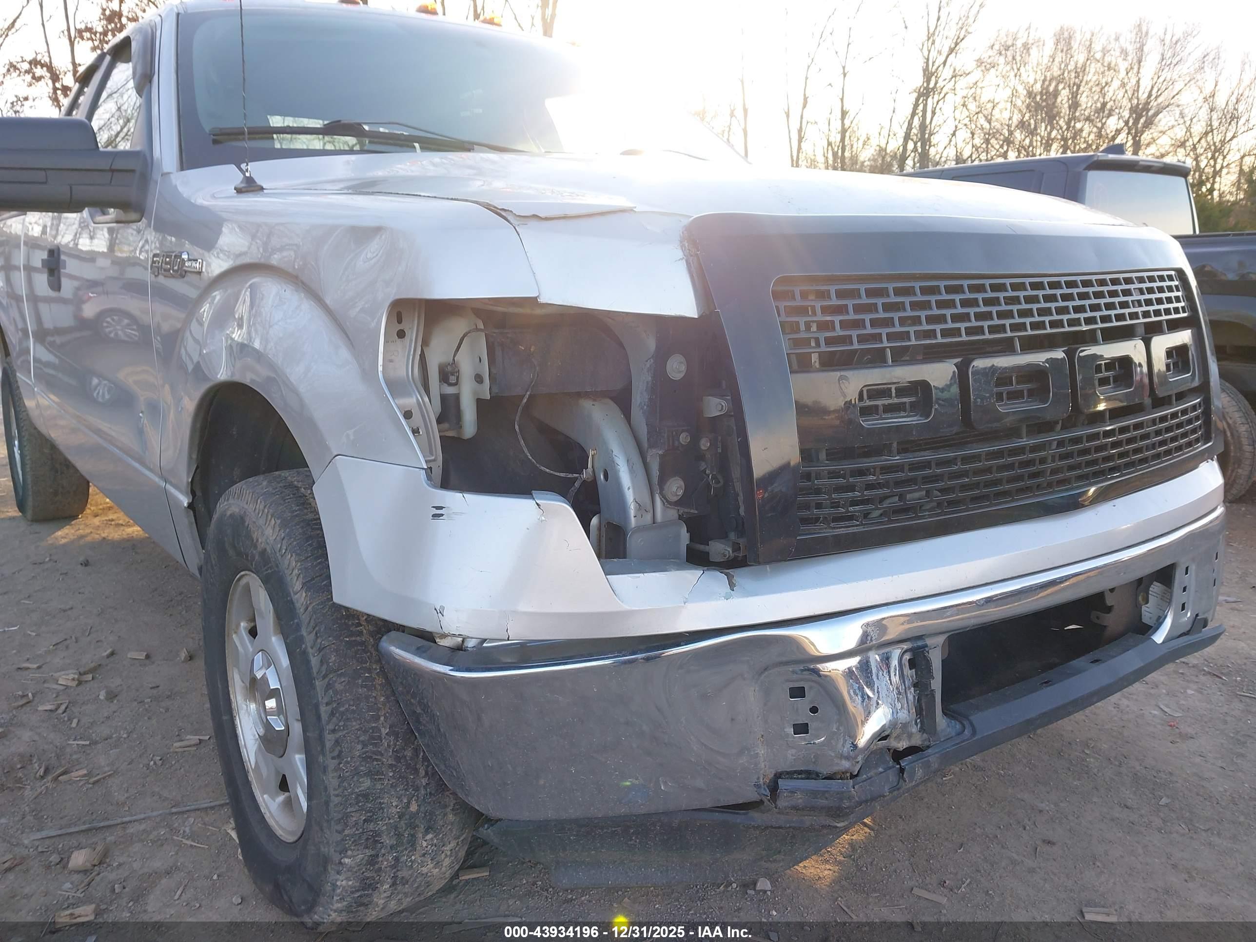 FORD F-150 image 6