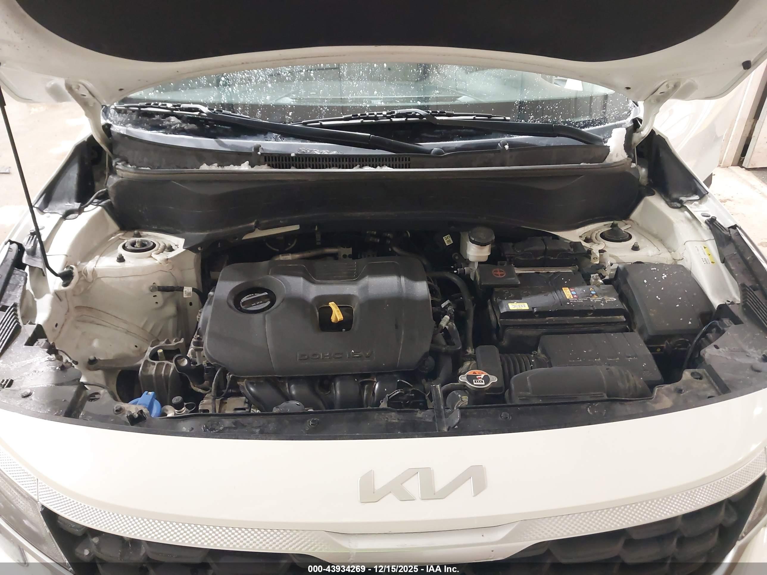 KIA SELTOS image 10