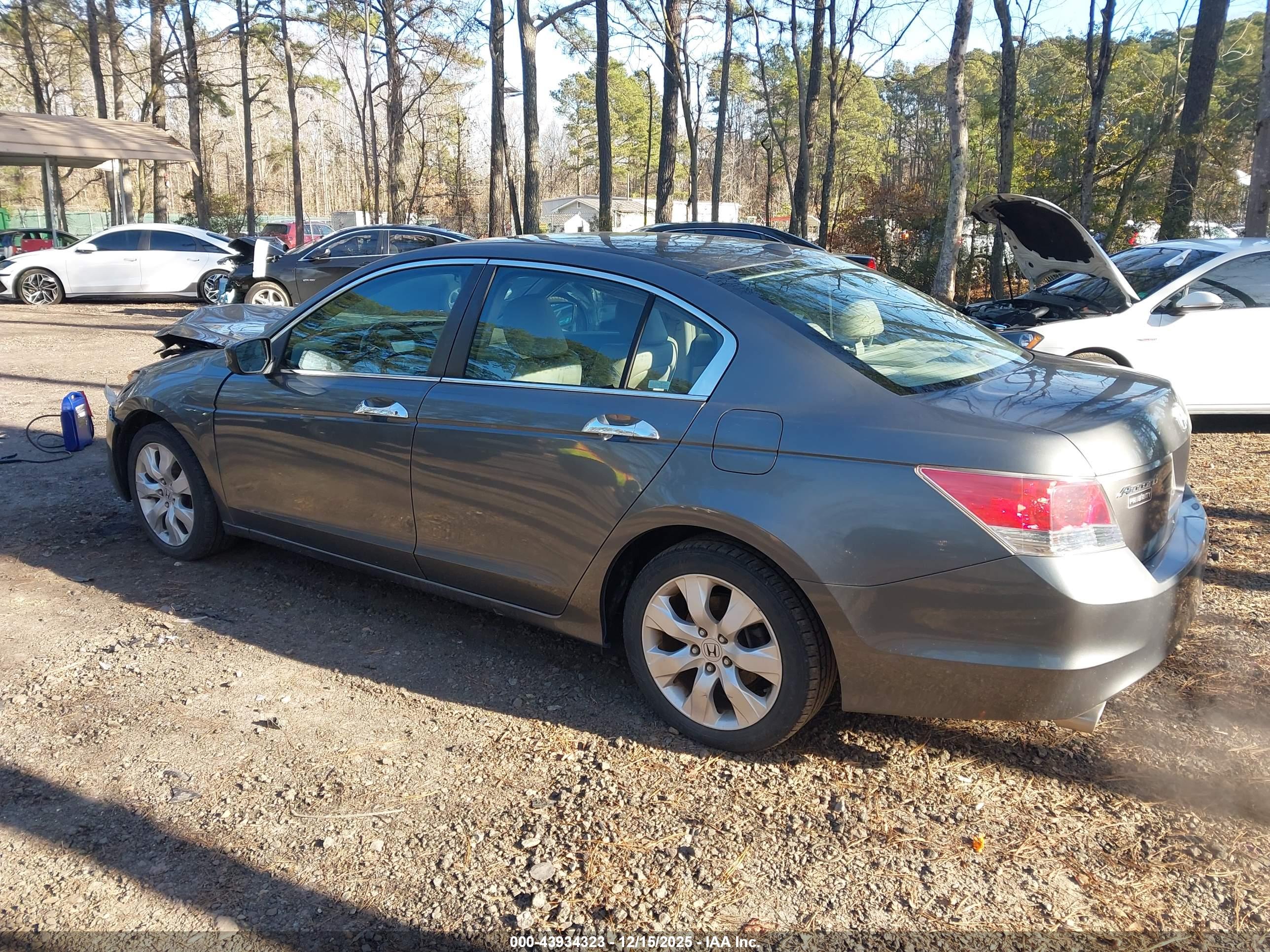 HONDA ACCORD image 3