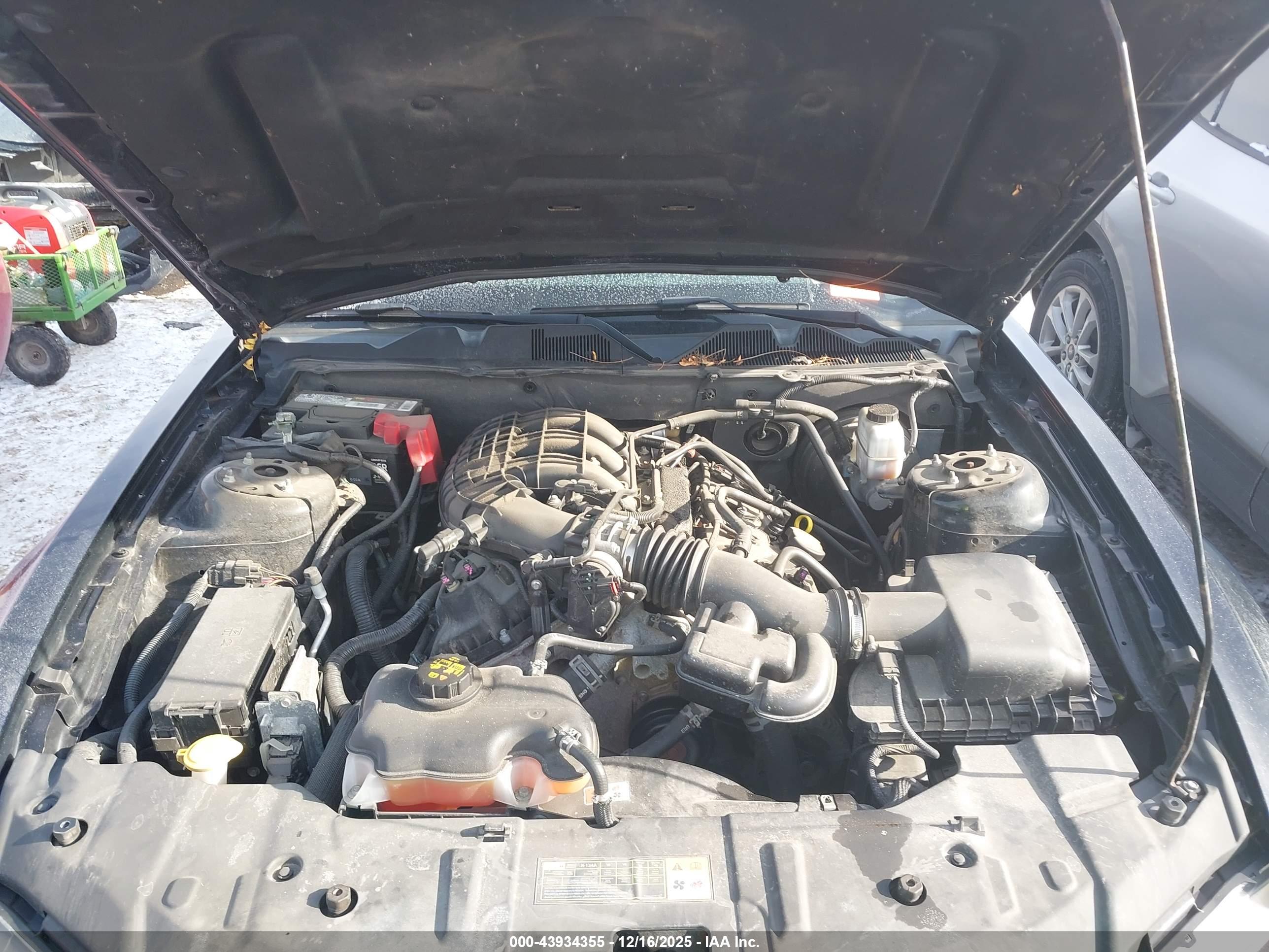 FORD MUSTANG image 10