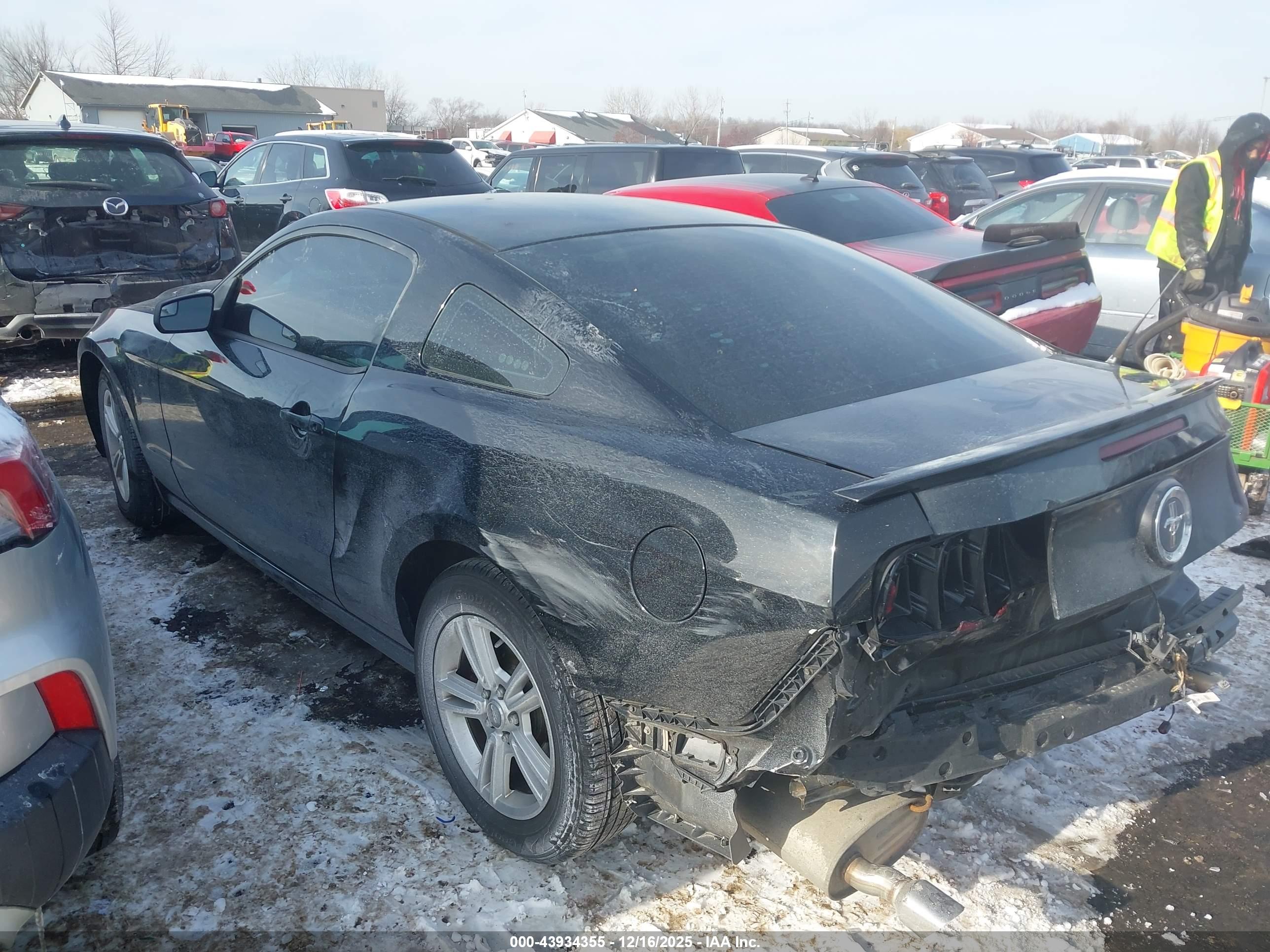 FORD MUSTANG image 3