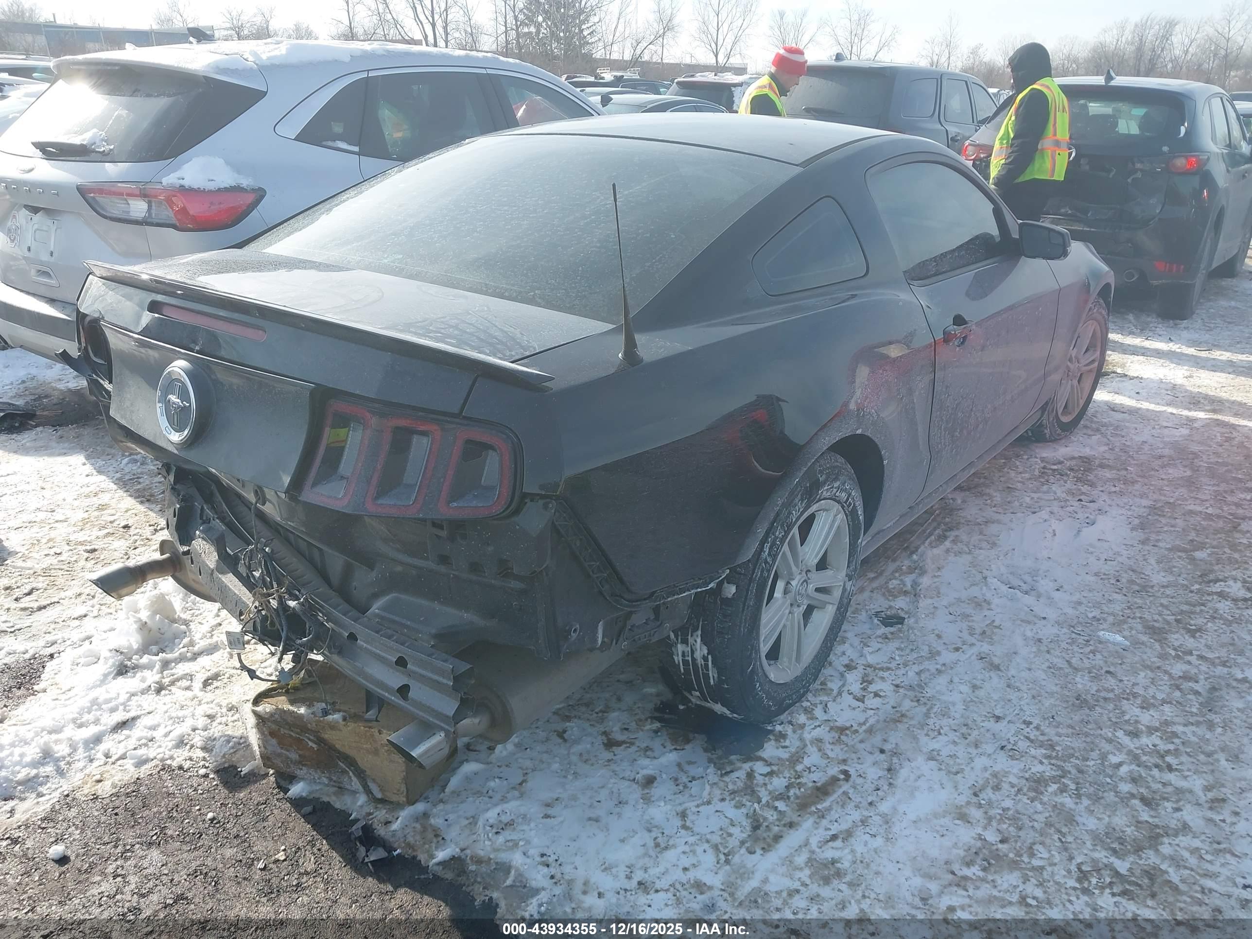 FORD MUSTANG image 4