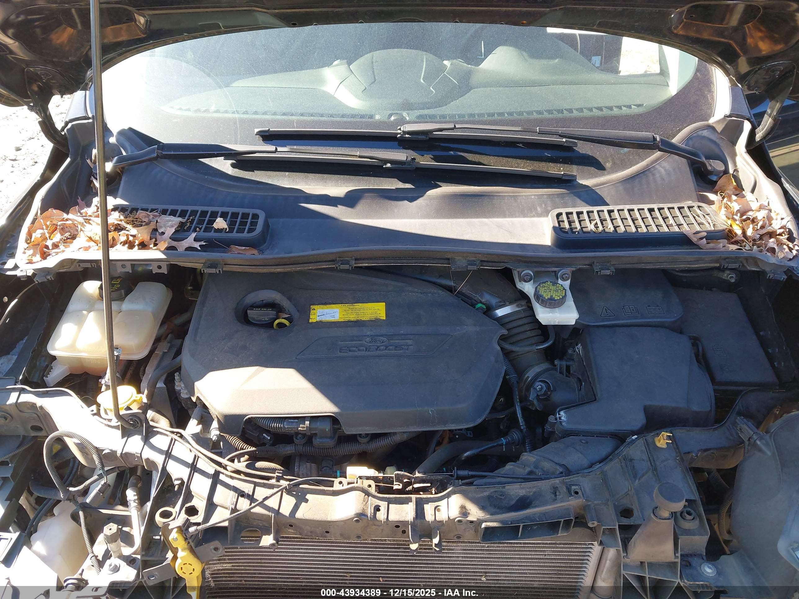 FORD ESCAPE image 10