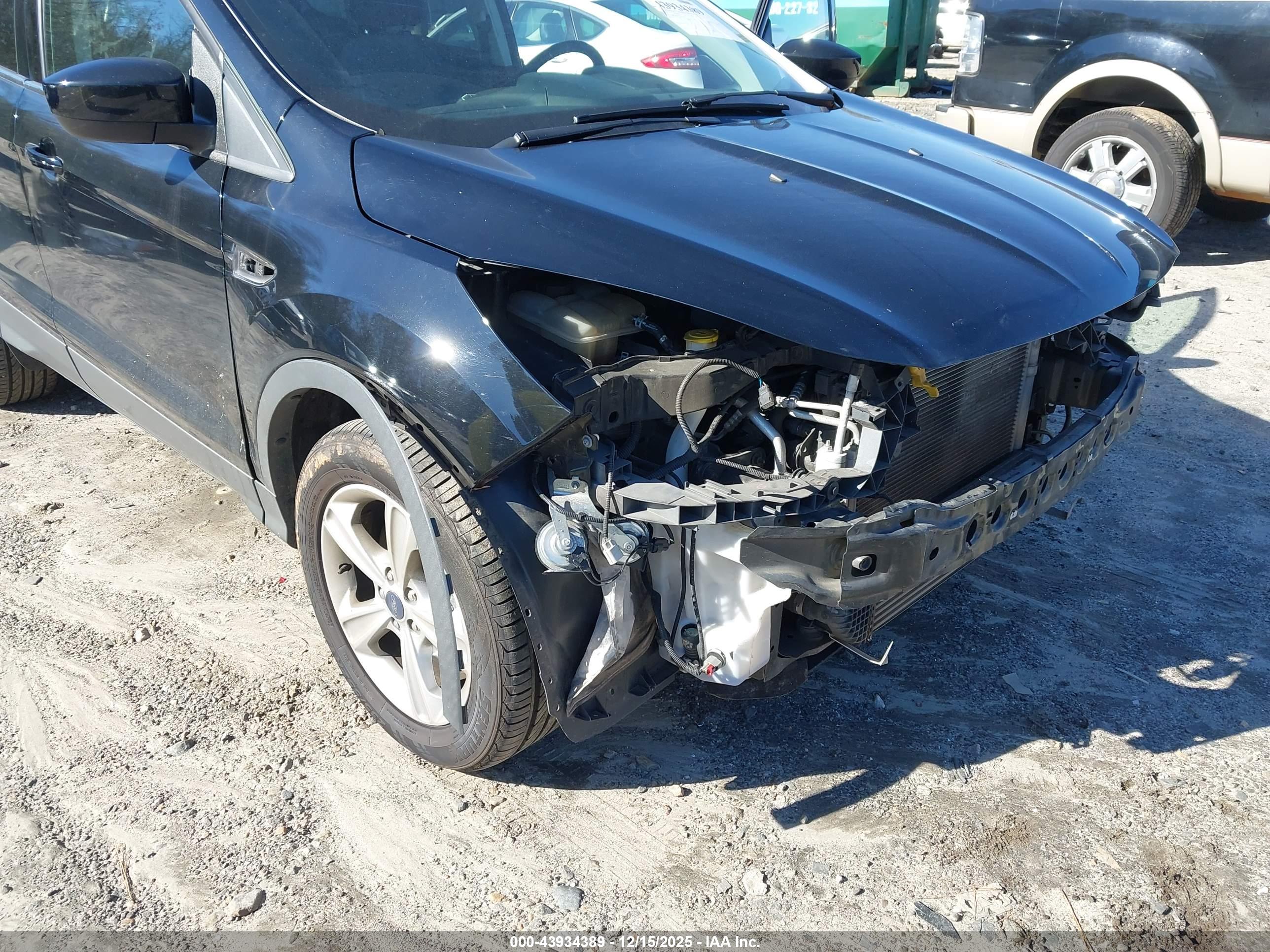 FORD ESCAPE image 6