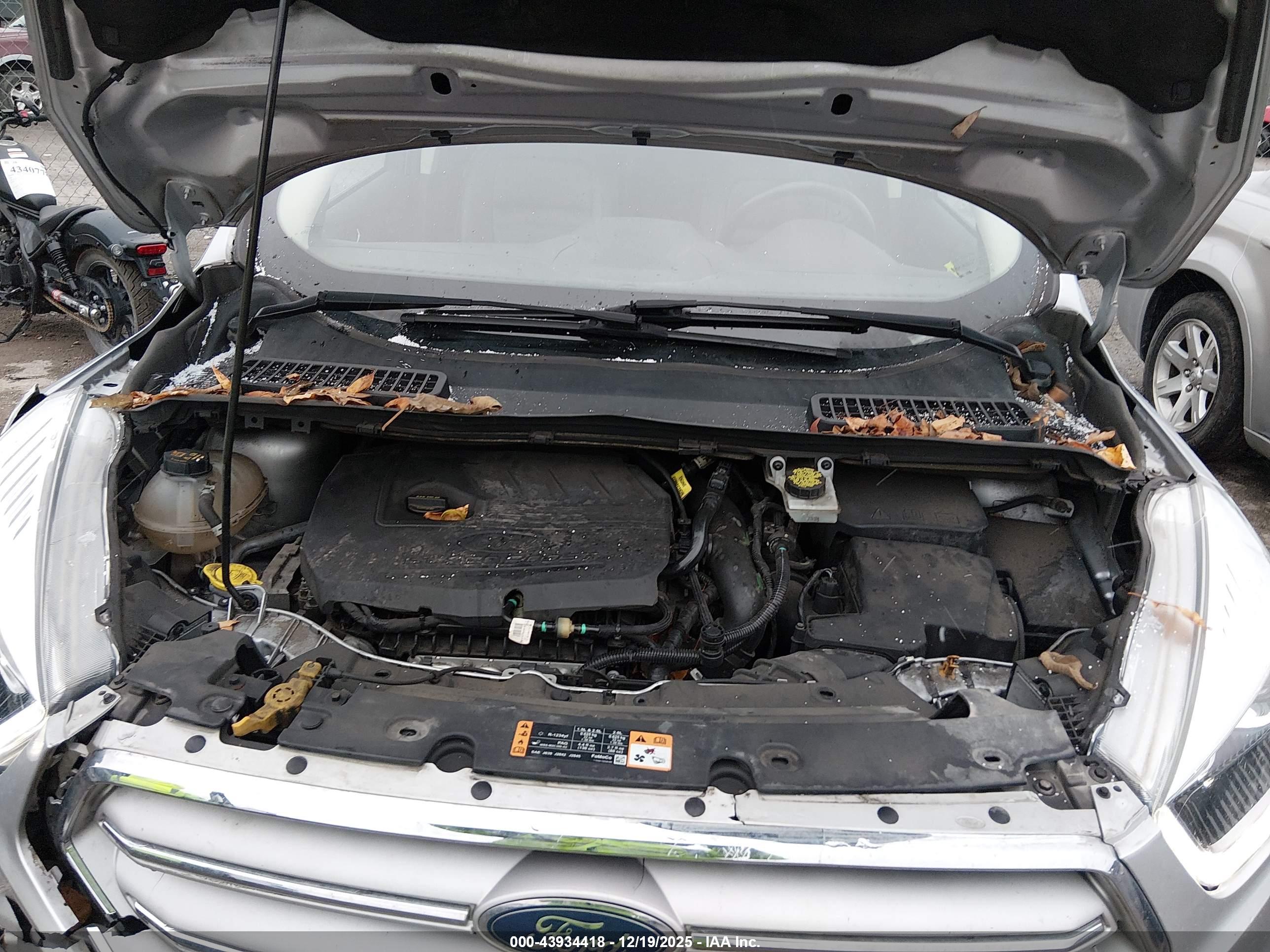 FORD ESCAPE image 10