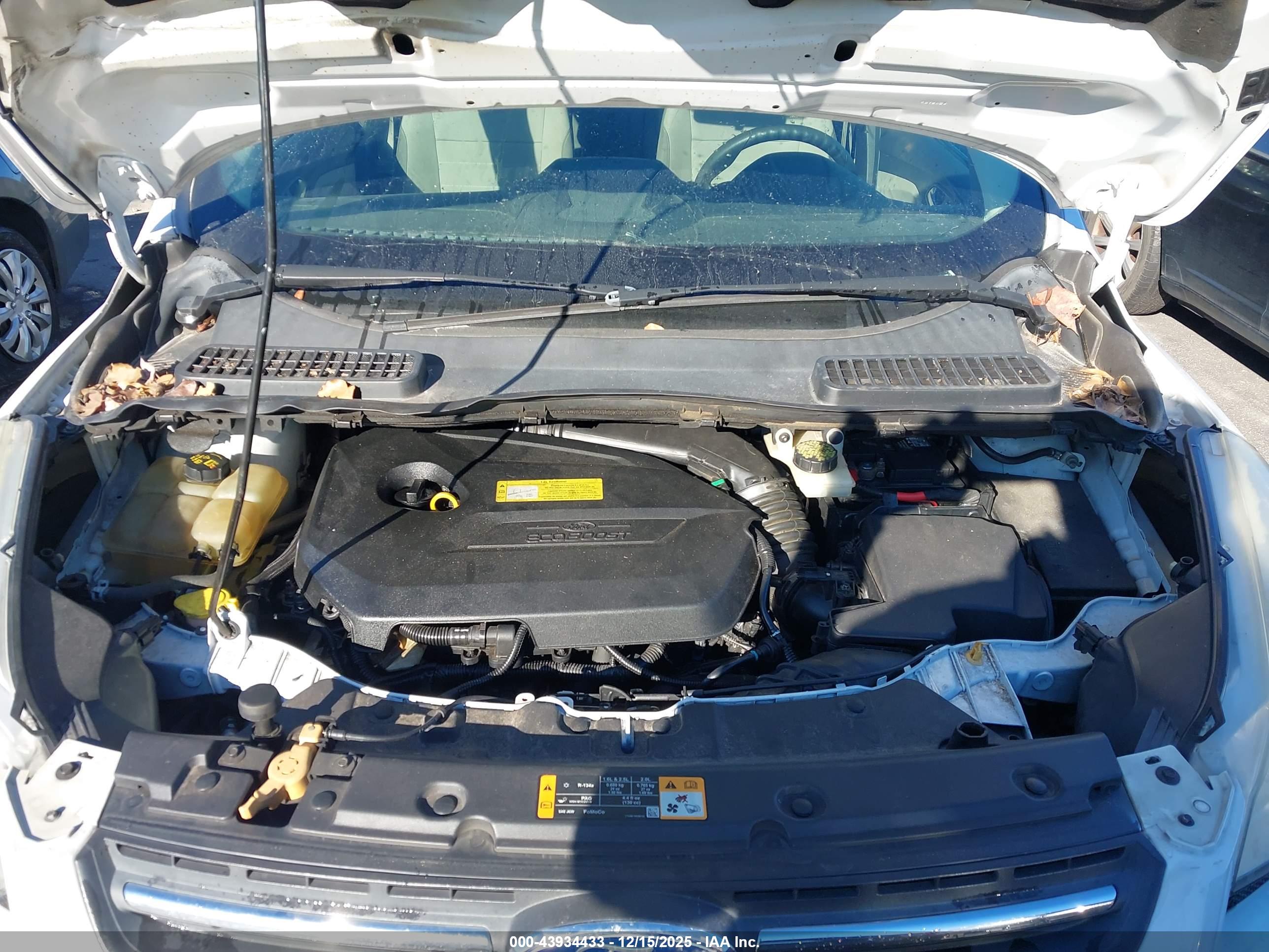 FORD ESCAPE image 10